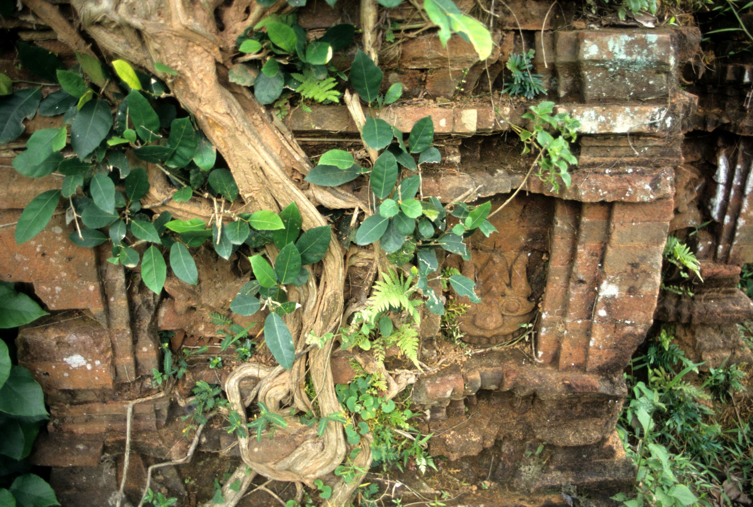 VIET NAM - MY SON CHAM RUINS C.jpg