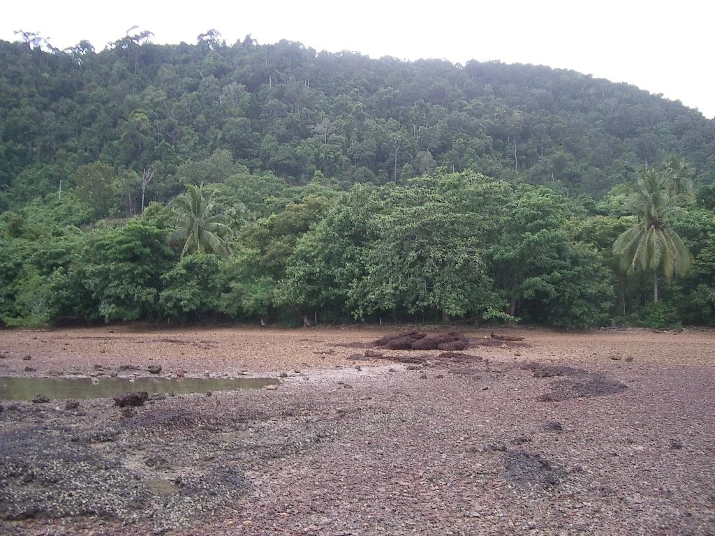 KOH LANTA - PROPERTY - 2004 (106).JPG