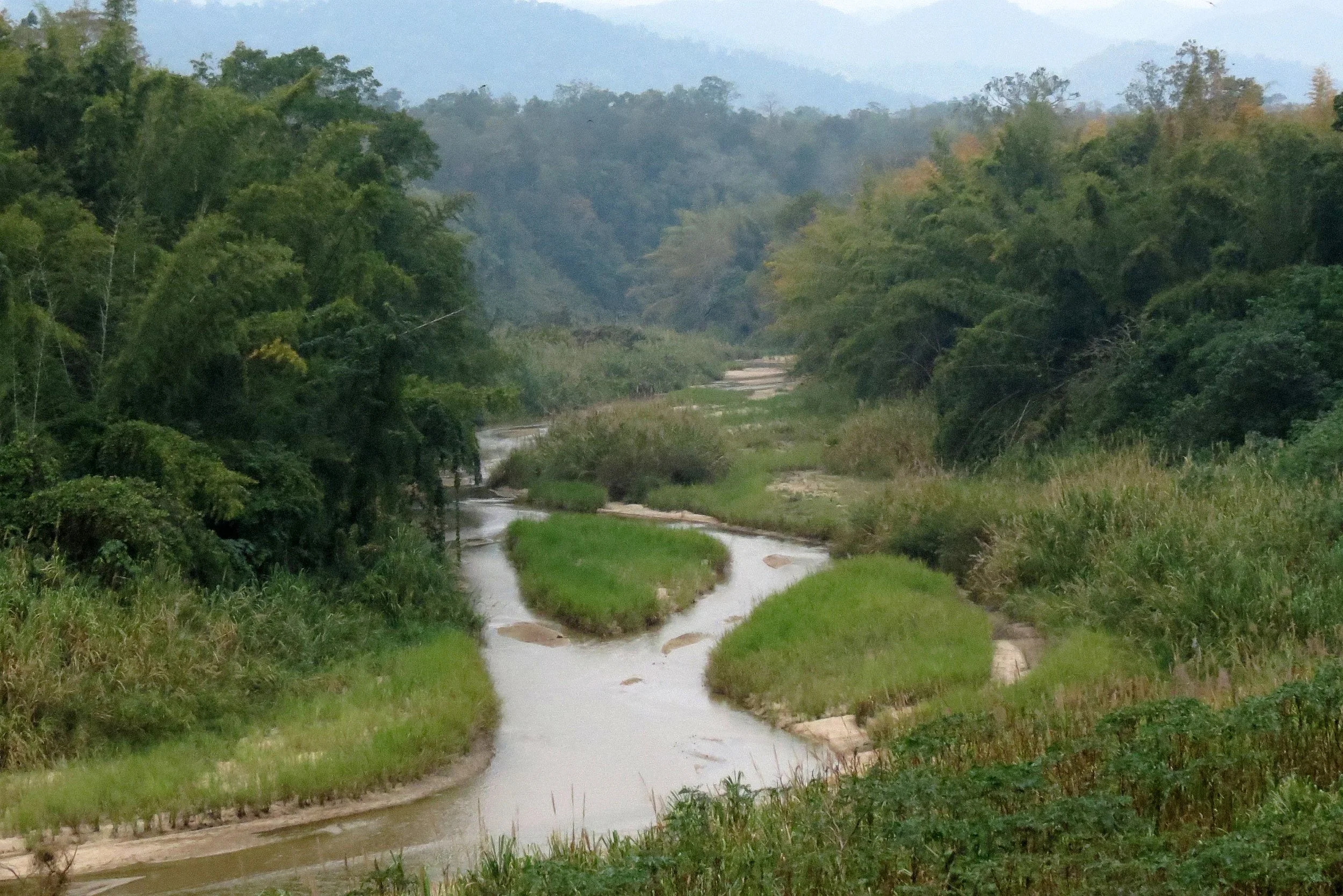 2014 Huai Kha Khaeng Bruce Kekule Trip (34).JPG