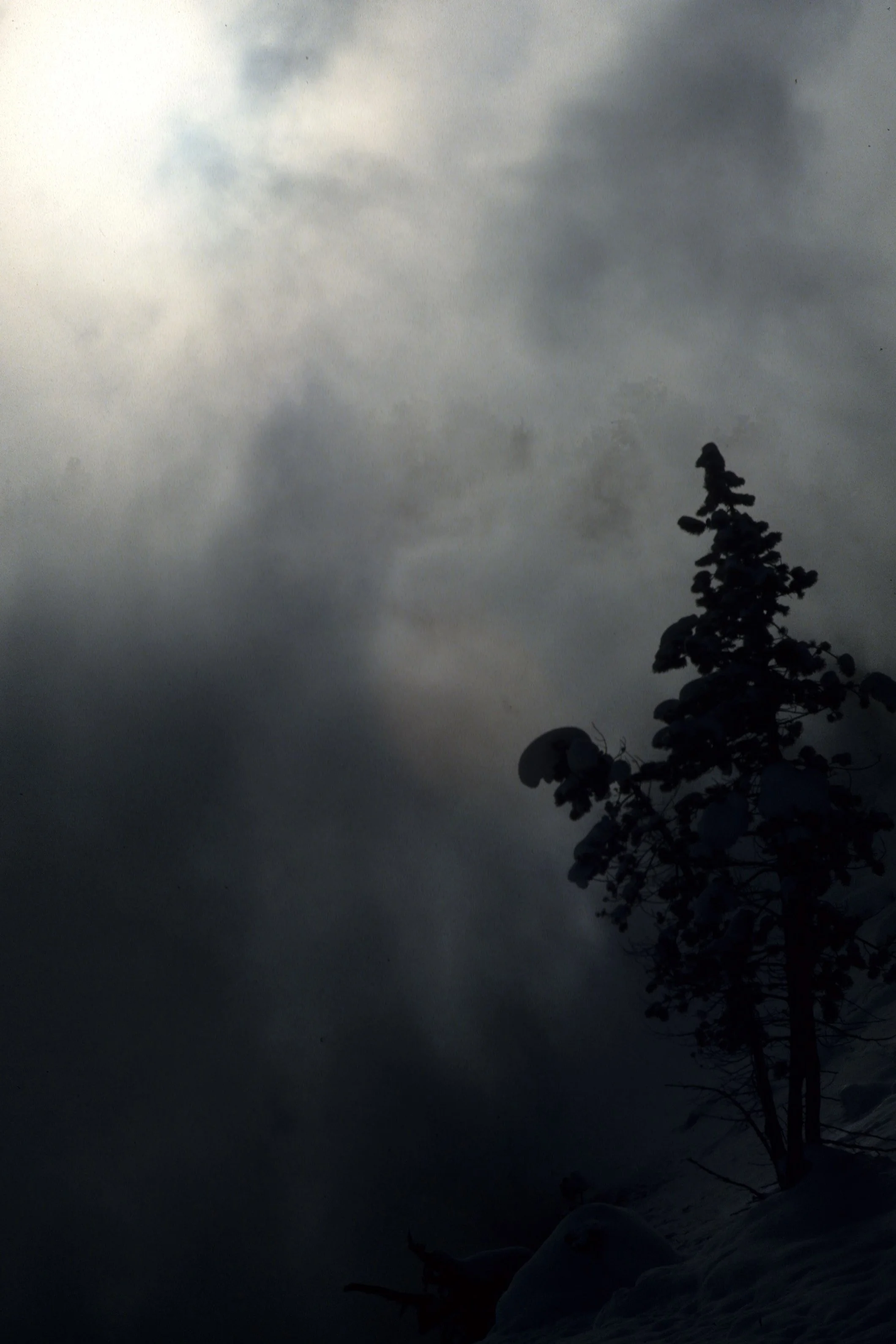 YELLOWSTONE IN WINTER NN.jpg