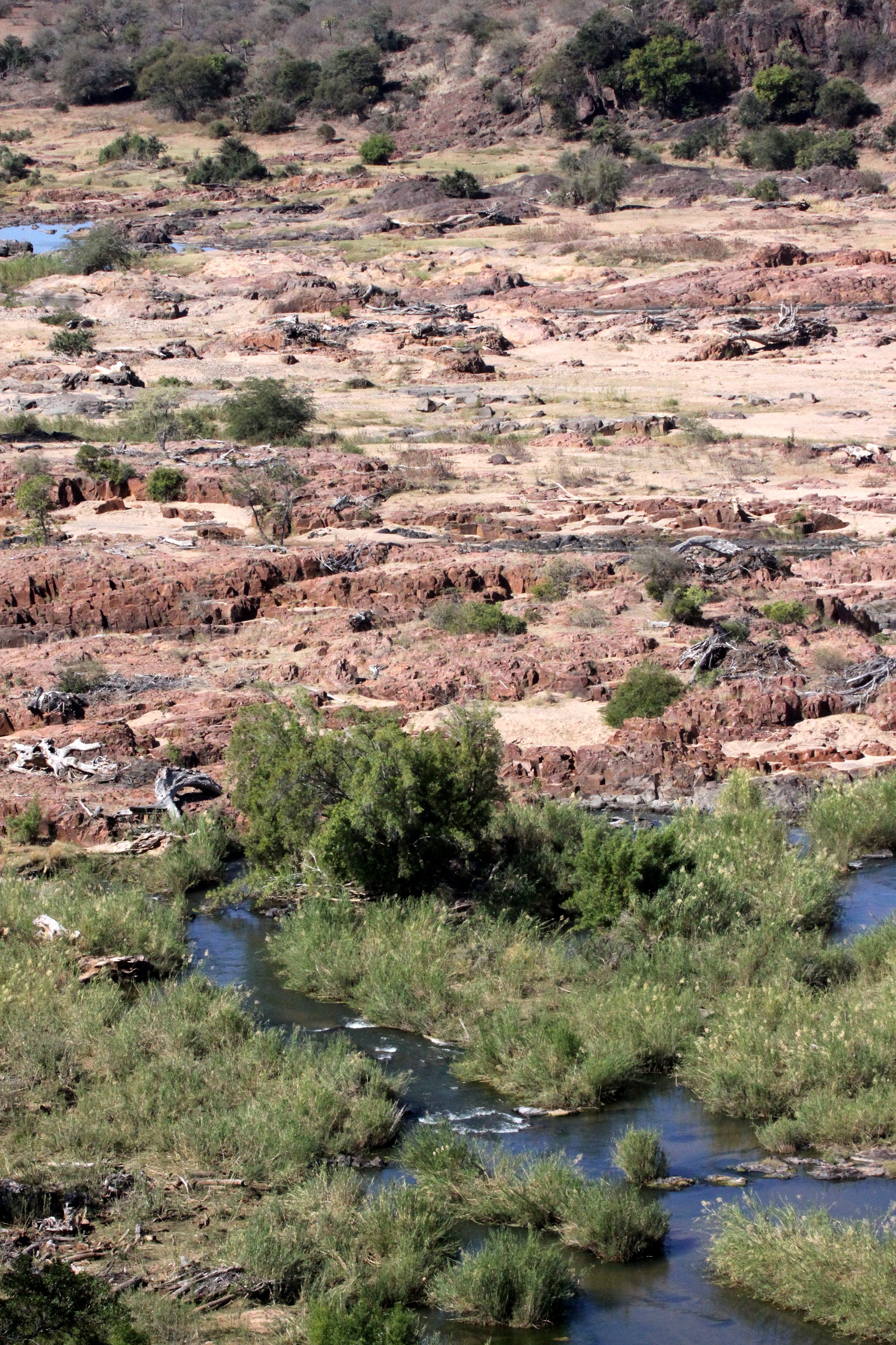 KRUGER NATIONAL PARK SOUTH AFRICA - OLIFANT RIVER BASIN (2).JPG