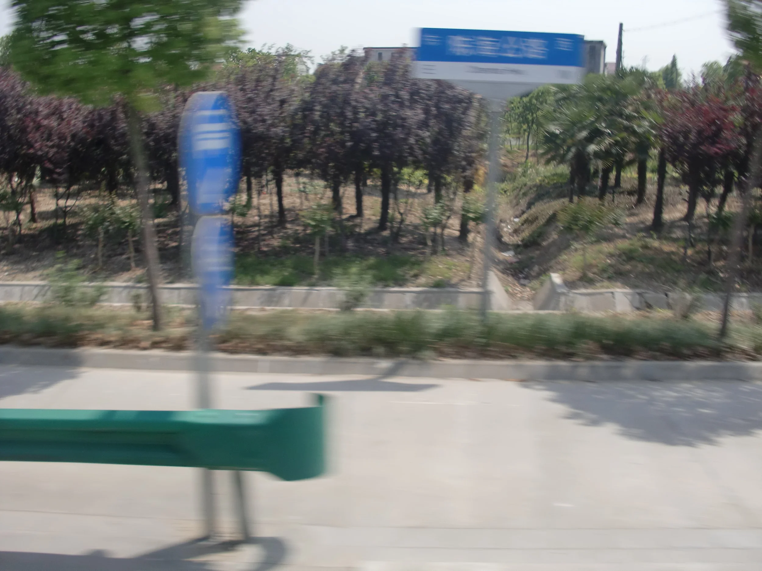 2011-5-17 COKIE'S FIELD TRIP TO CHONGMING ISLAND - COKIES IMAGES ALL (45).JPG