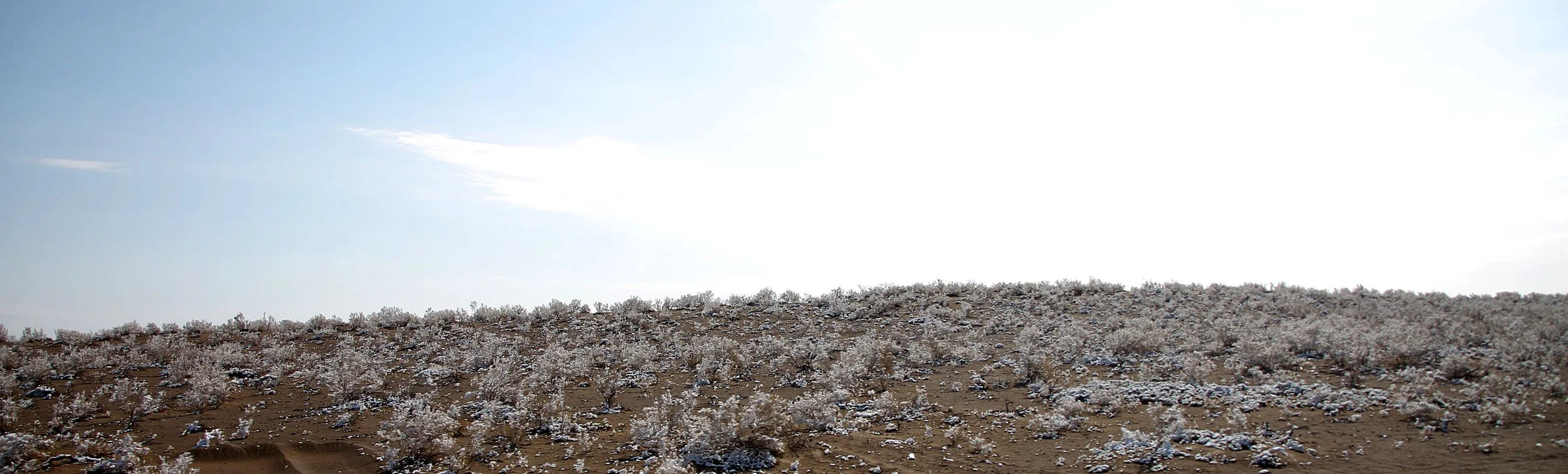 KARAMORI NATIONAL NATURE RESERVE - XINJIANG CHINA (42).JPG