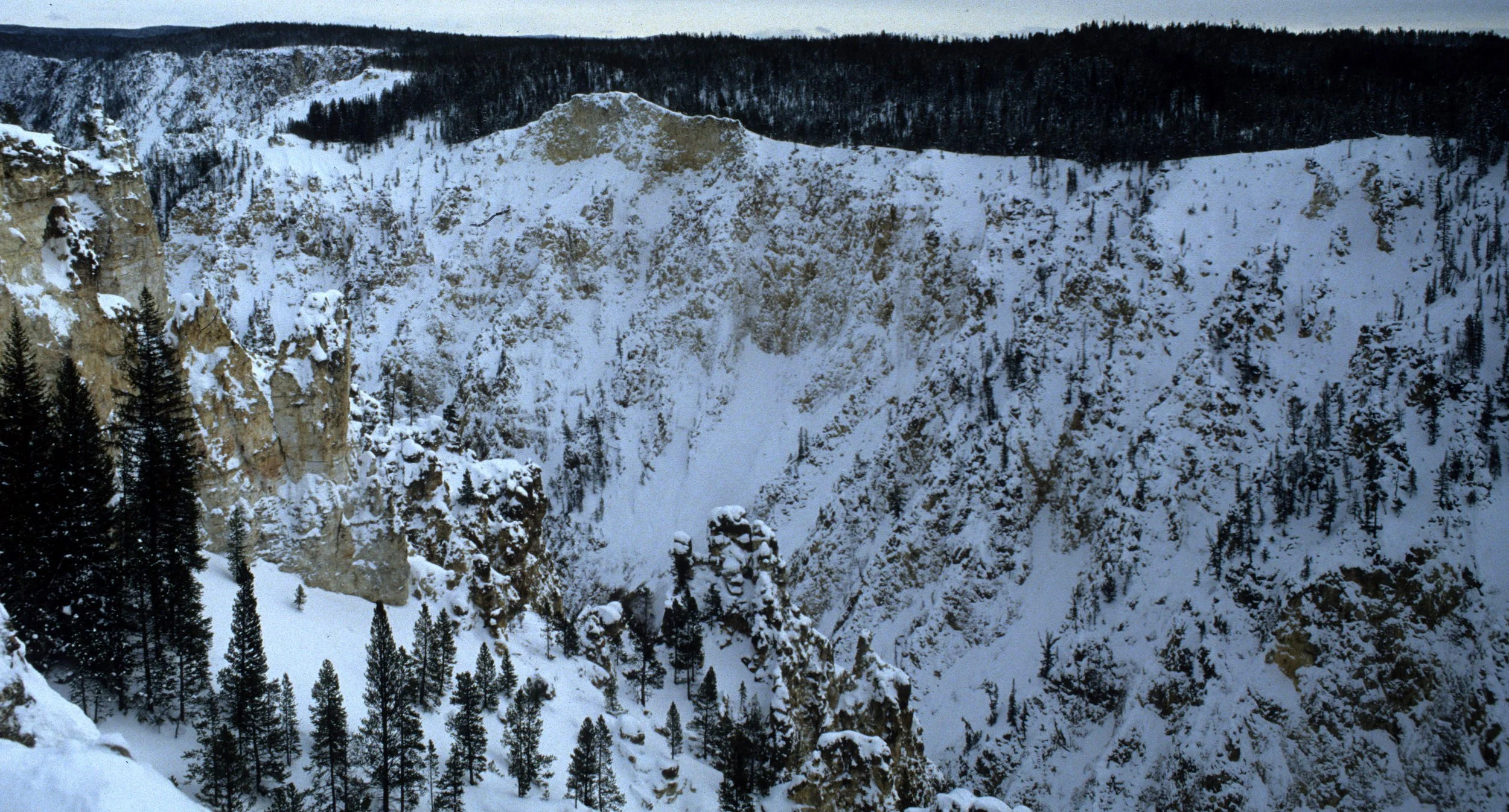 YELLOWSTONE - CANYON VIEW M.jpg