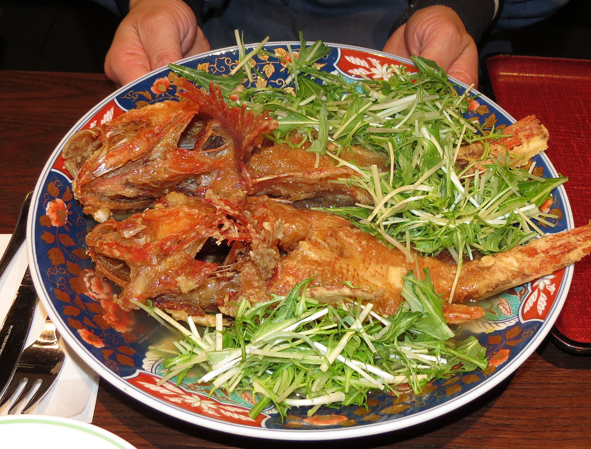 YOROUSHI ONSEN - DAIICHI SPA - HOKKAIDO JAPAN (90).JPG