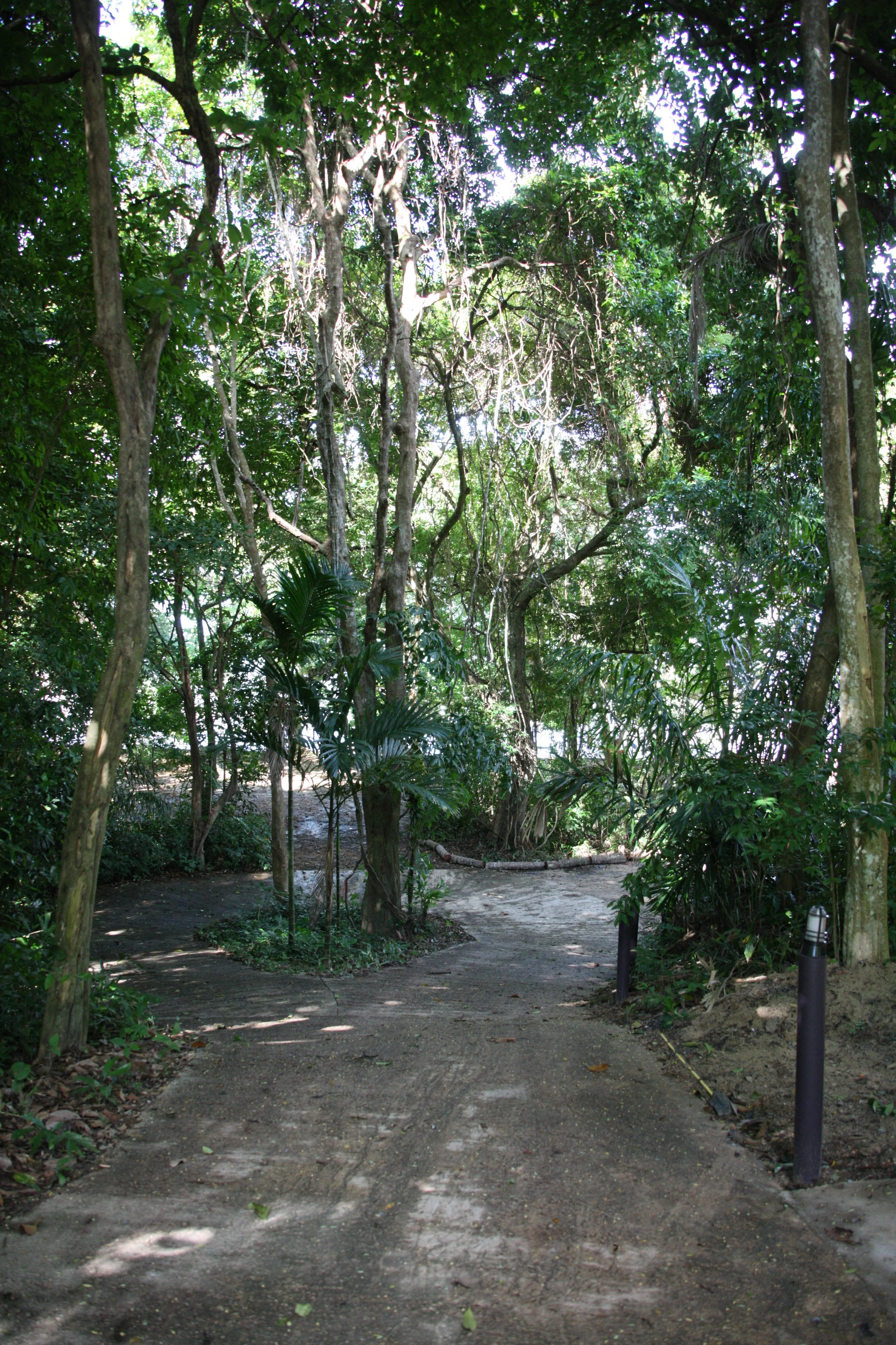 2016 Koh Lanta Landscapes, House Pictures and Family Fun (617).JPG