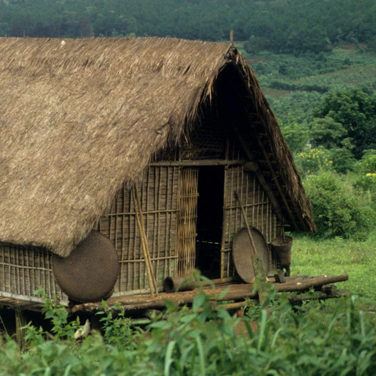 HILLTRIBE - ADAY HILL TRIBE NEAR BUNMETOUT H1.jpg