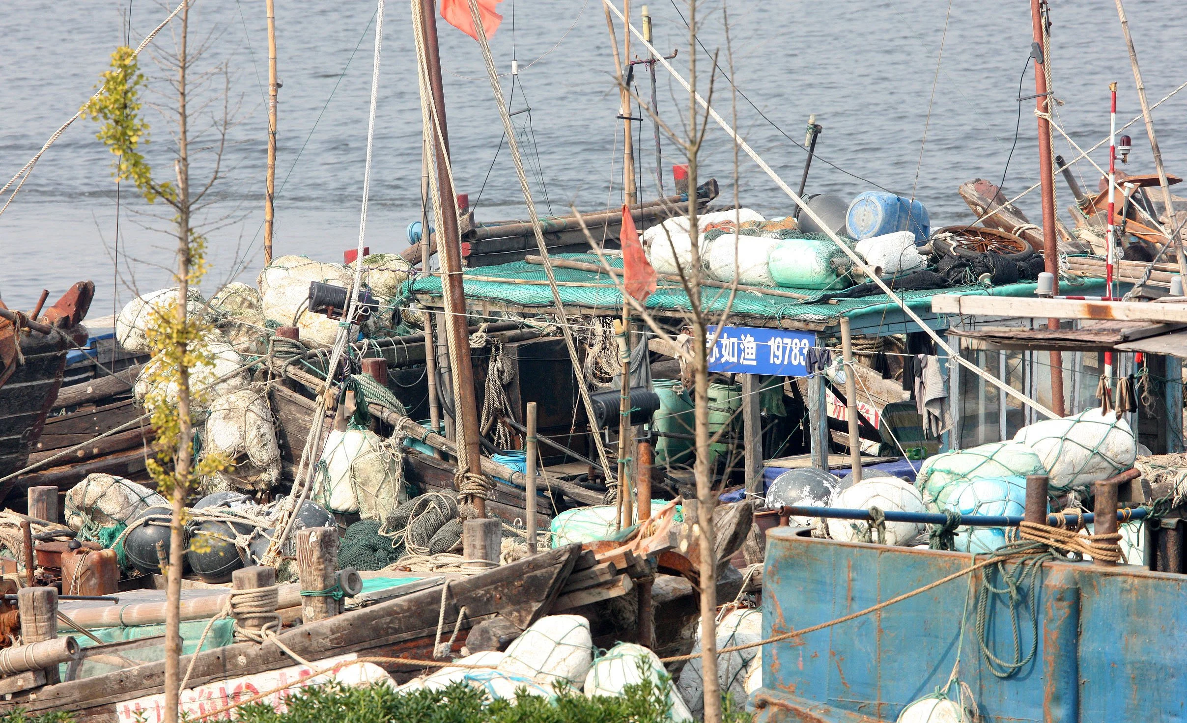RUDONG CHINA -  BIRDING TRIP - 15-17 OCTOBER 2010 (11).JPG