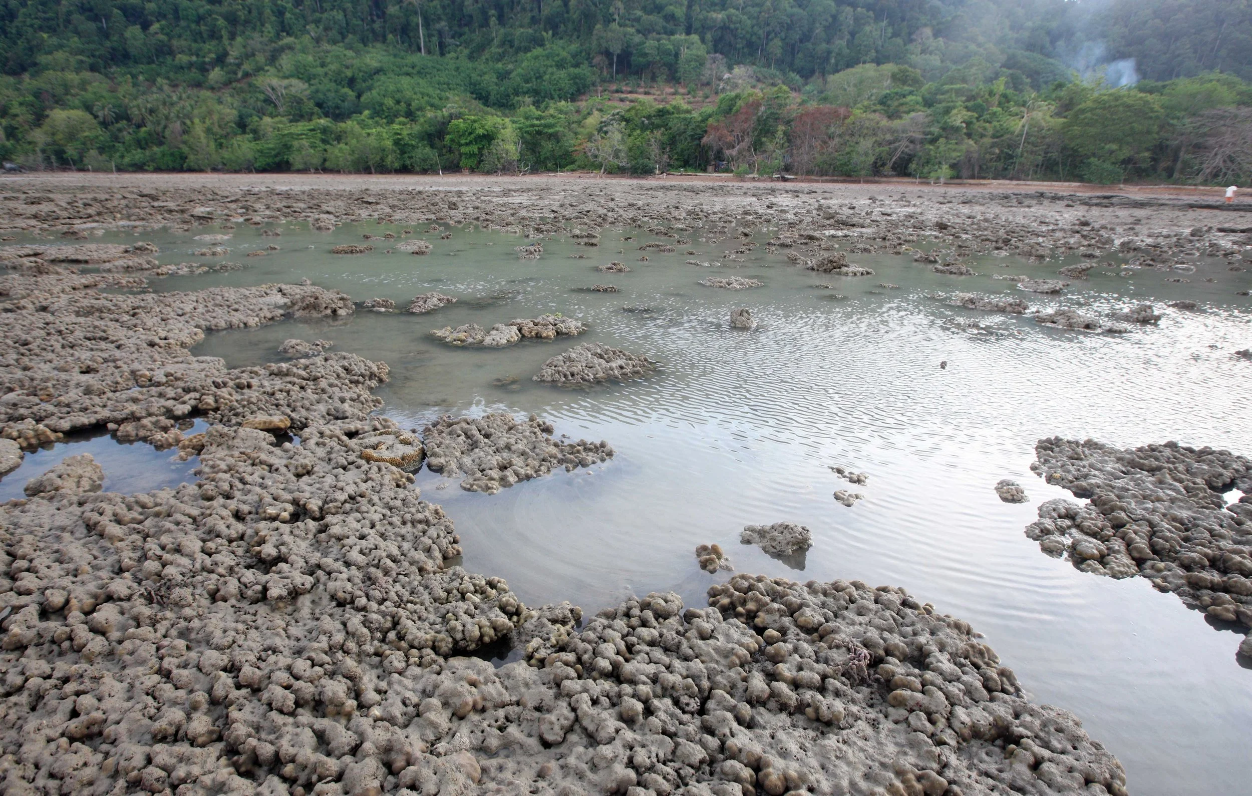 2015 Koh Lanta Songkran with friends from ISB (235).JPG