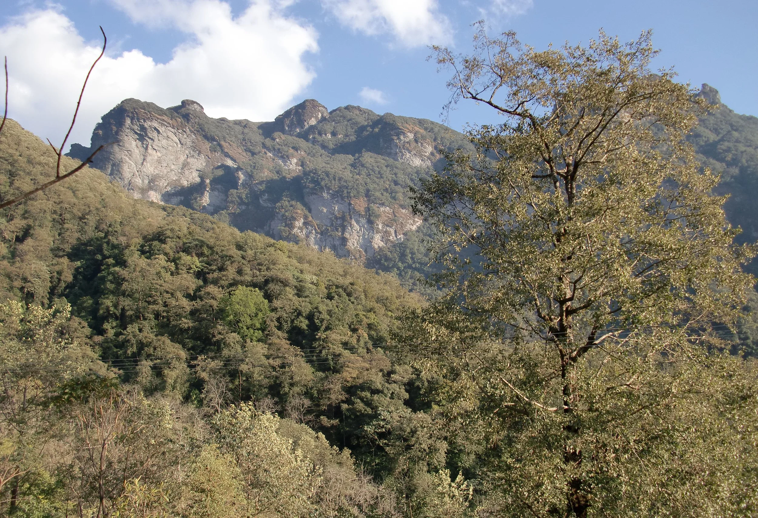 YUNNAN - WULIANGSHAN NATURE RESERVE AND SURROUNDING MOUNTAINS (27).JPG