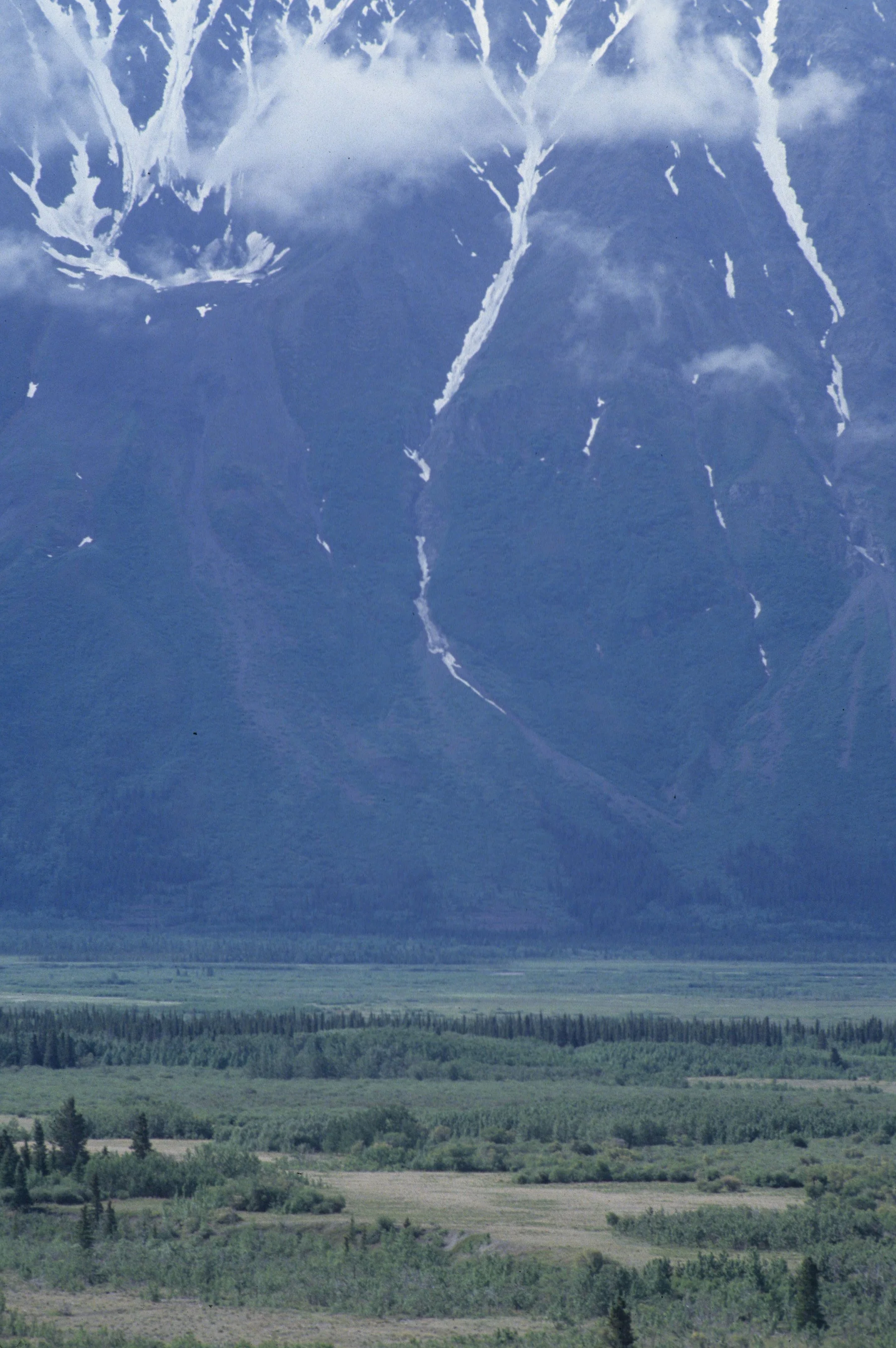 ALASKA - WRANGELL SAINT ELIAS NP.jpg