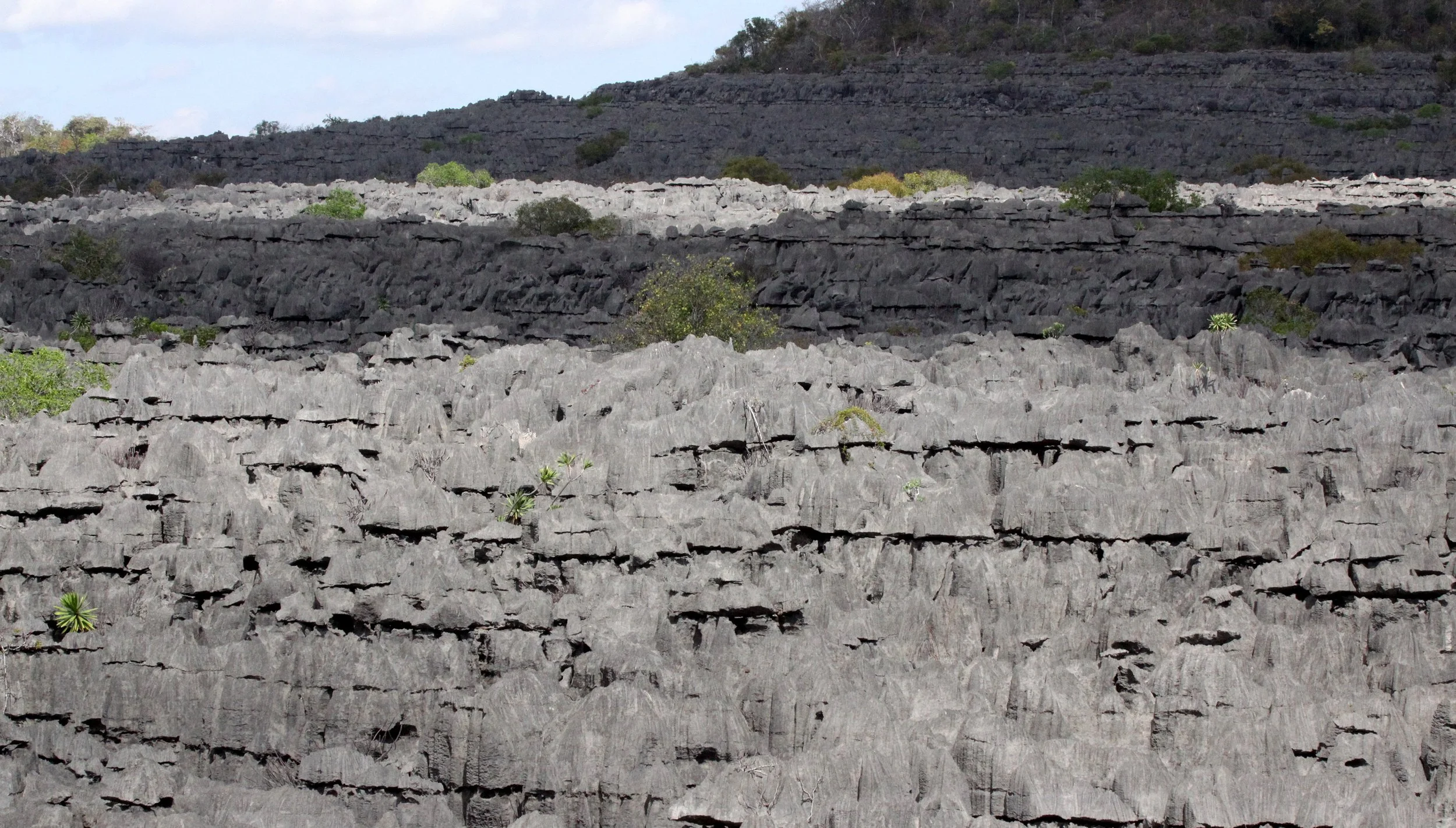 ANKARANA NATIONAL PARK MADAGASCAR - TSINGY FOREST (34).JPG