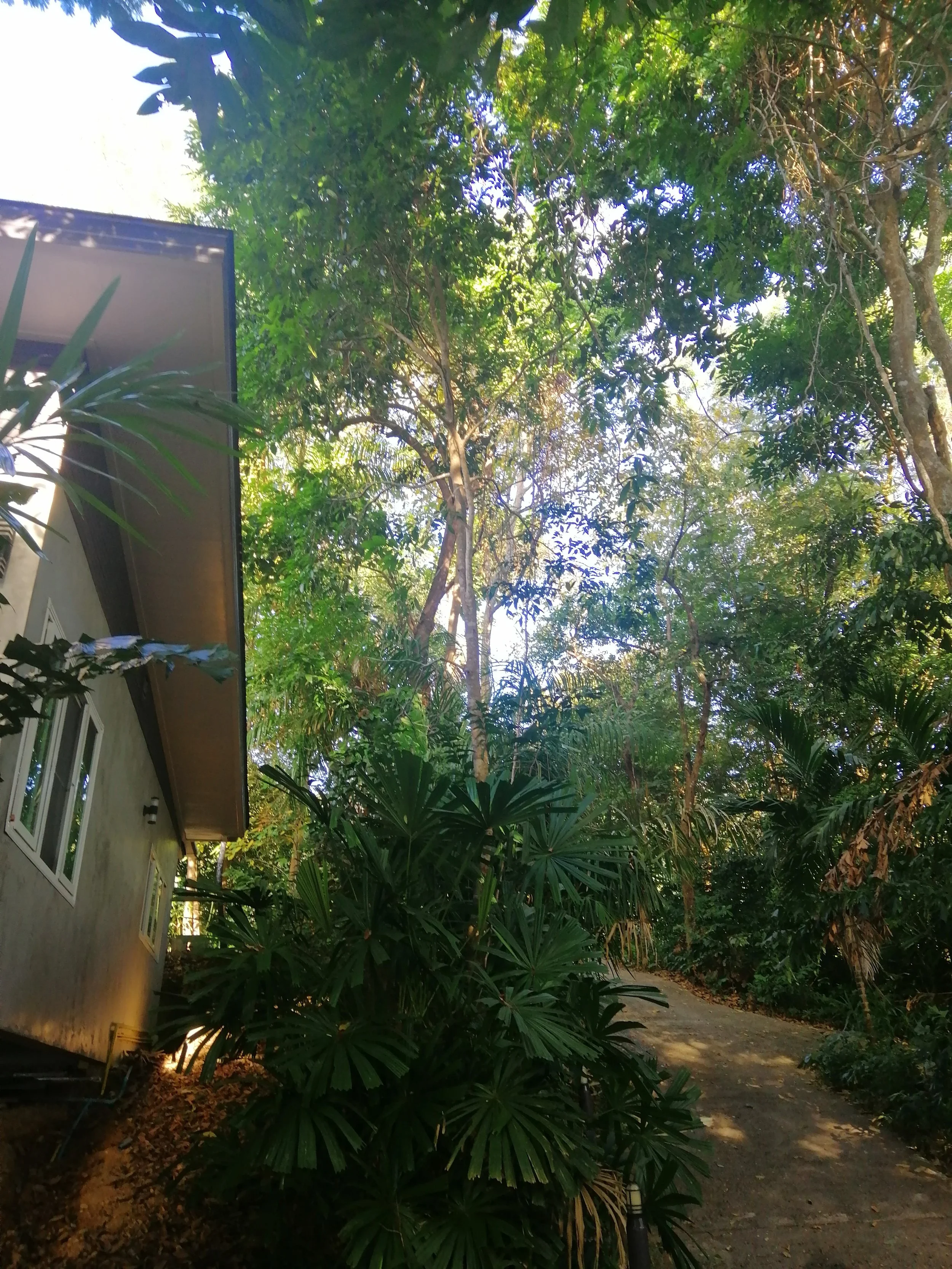 2018 Koh Lanta Misc  (129).jpg