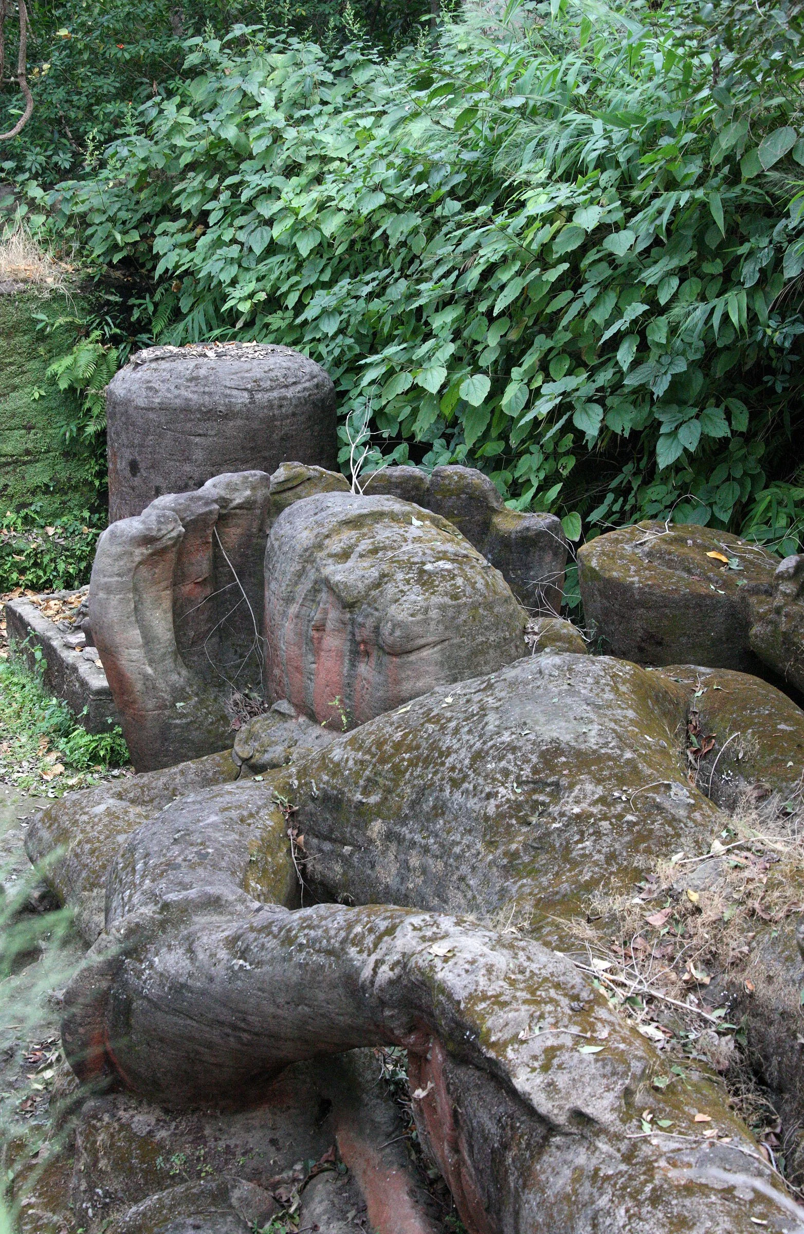 MADHYA PRADESH - BANDHAVGAR NATIONAL PARK MADHYA PRADESH INDIA (20).JPG