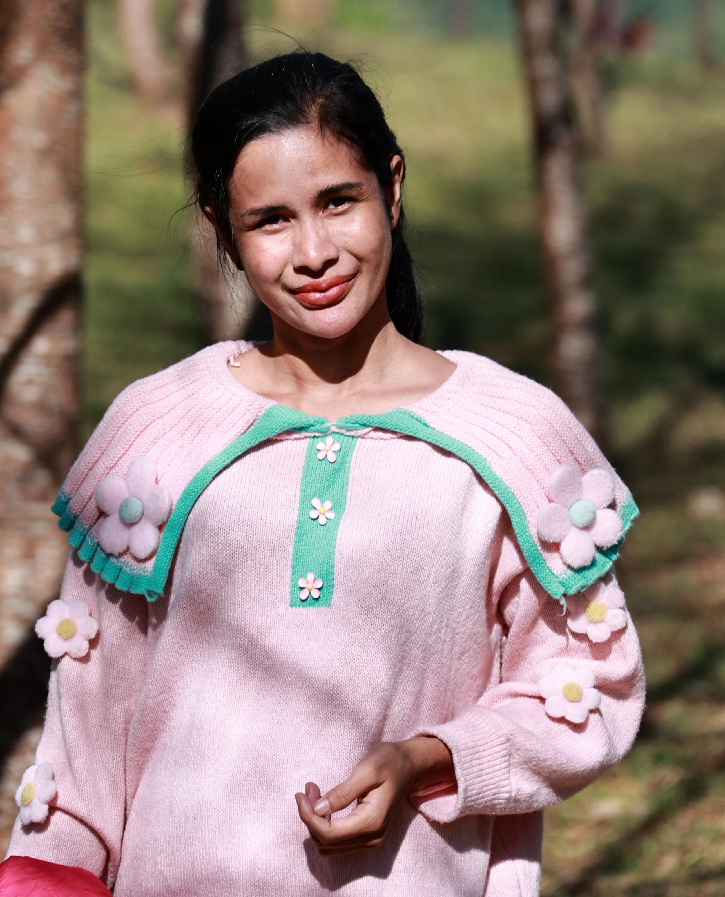 Phu Hin Rong Kla National Park Loei Province (18).jpg