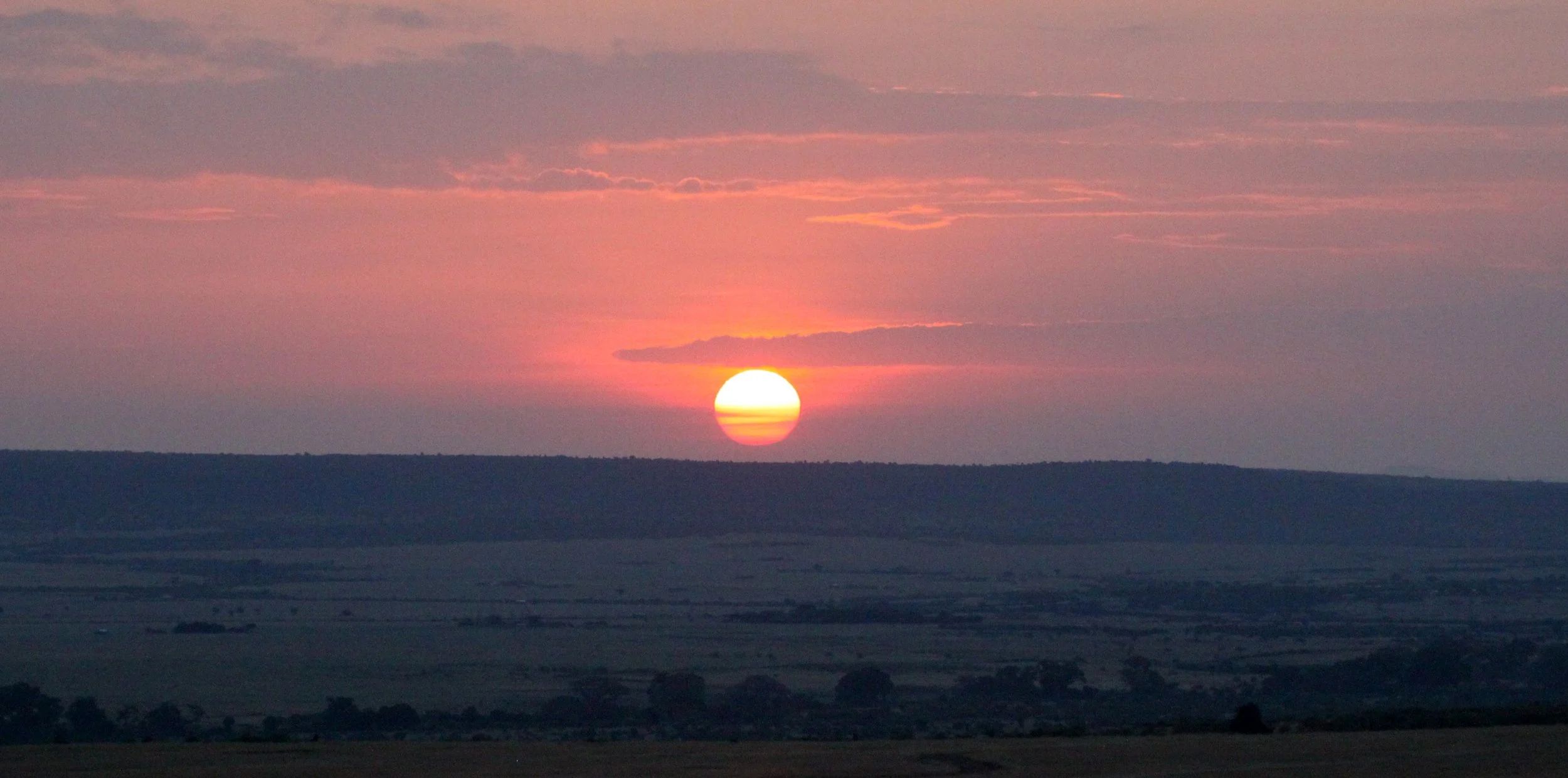 MASAI MARA NATIONAL PARK KENYA (193).JPG