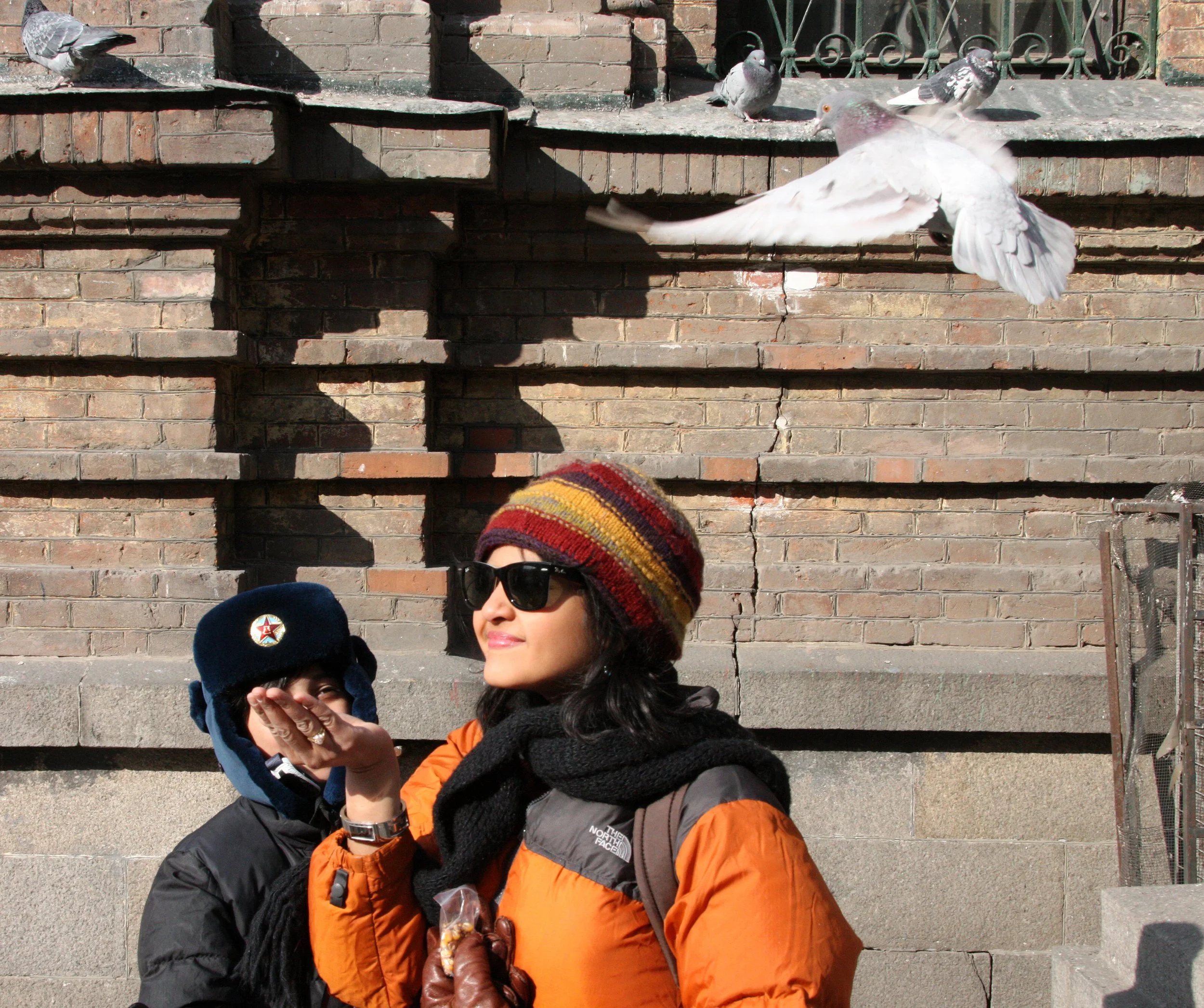 BIRD - PIGEON - HARBIN SAINT SOPHIA'S CATHEDRAL CHINA (35).JPG