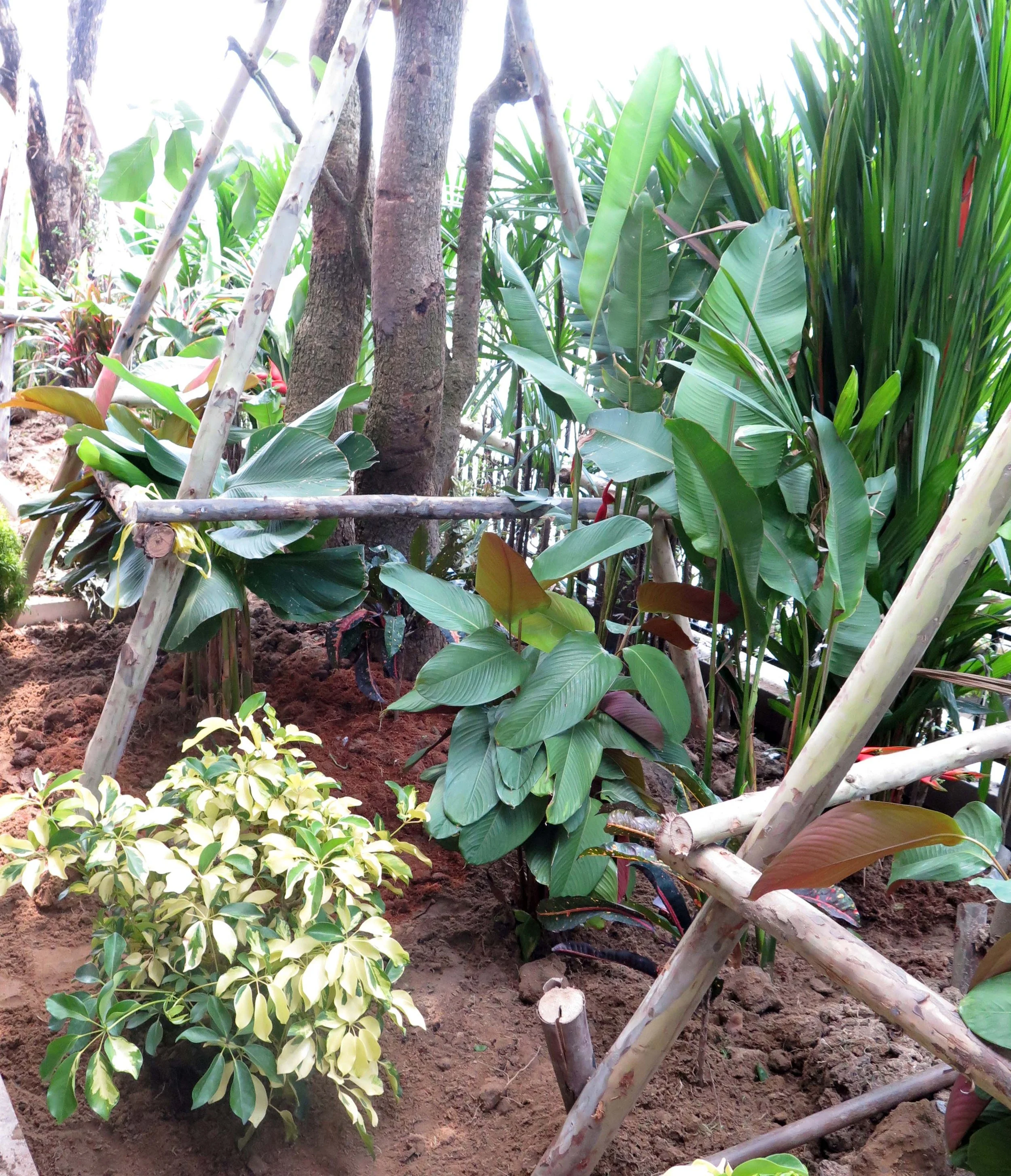 2013 Nonthaburi Setthasiri House and Nonthaburi Neighborhood (101).JPG