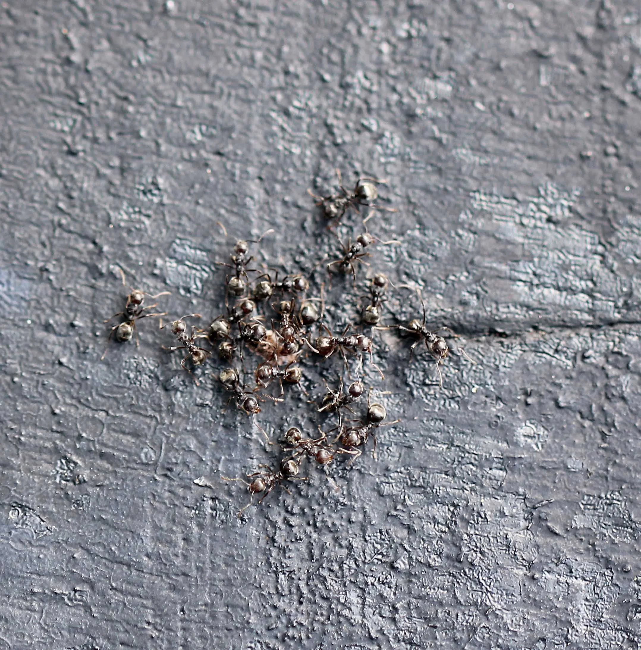 2015 Koh Lanta Songkran with friends from ISB (463).JPG