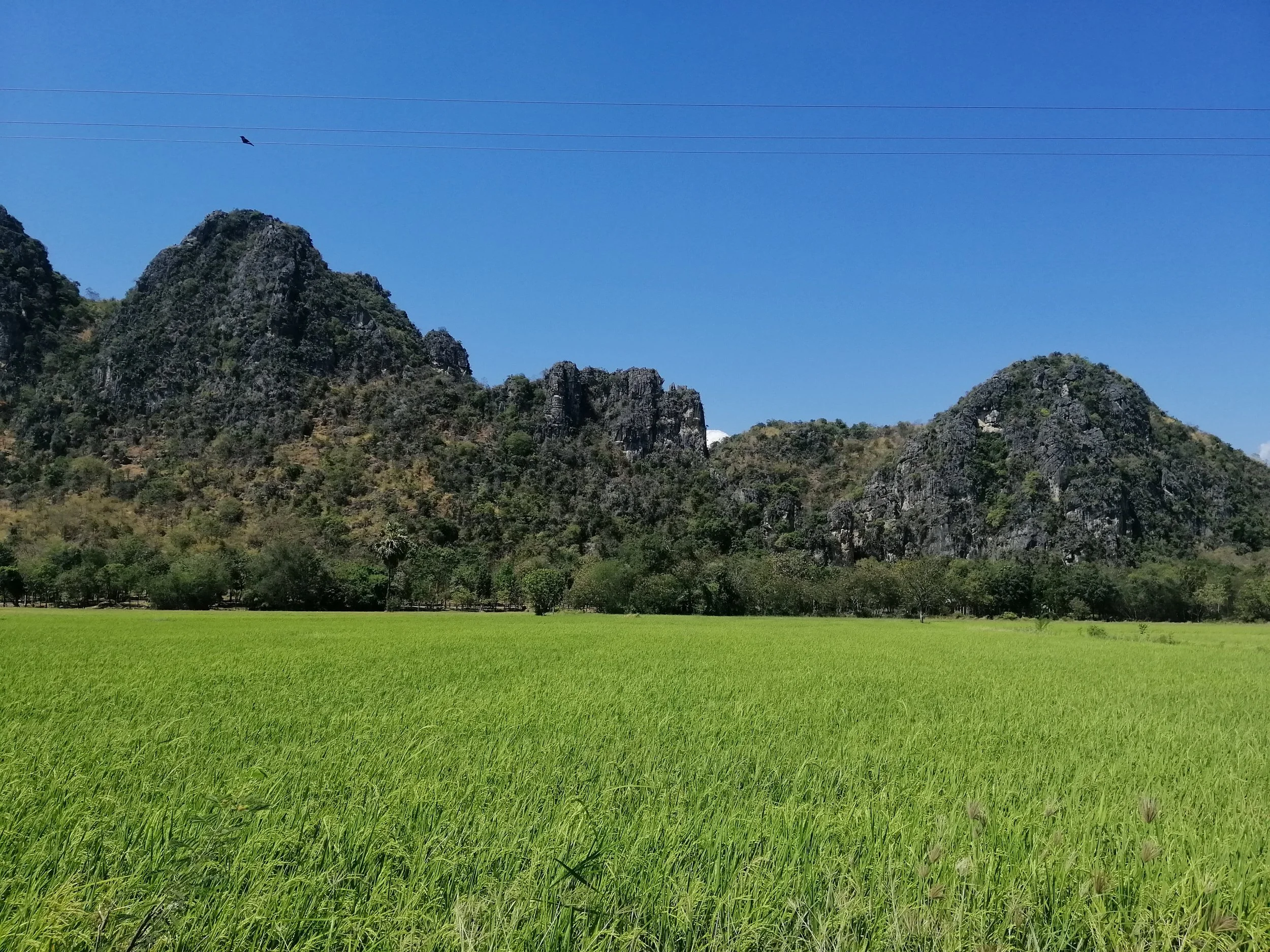 2019 Petchaburi & Cha'am Trip with Cokie & Gift (13).jpg