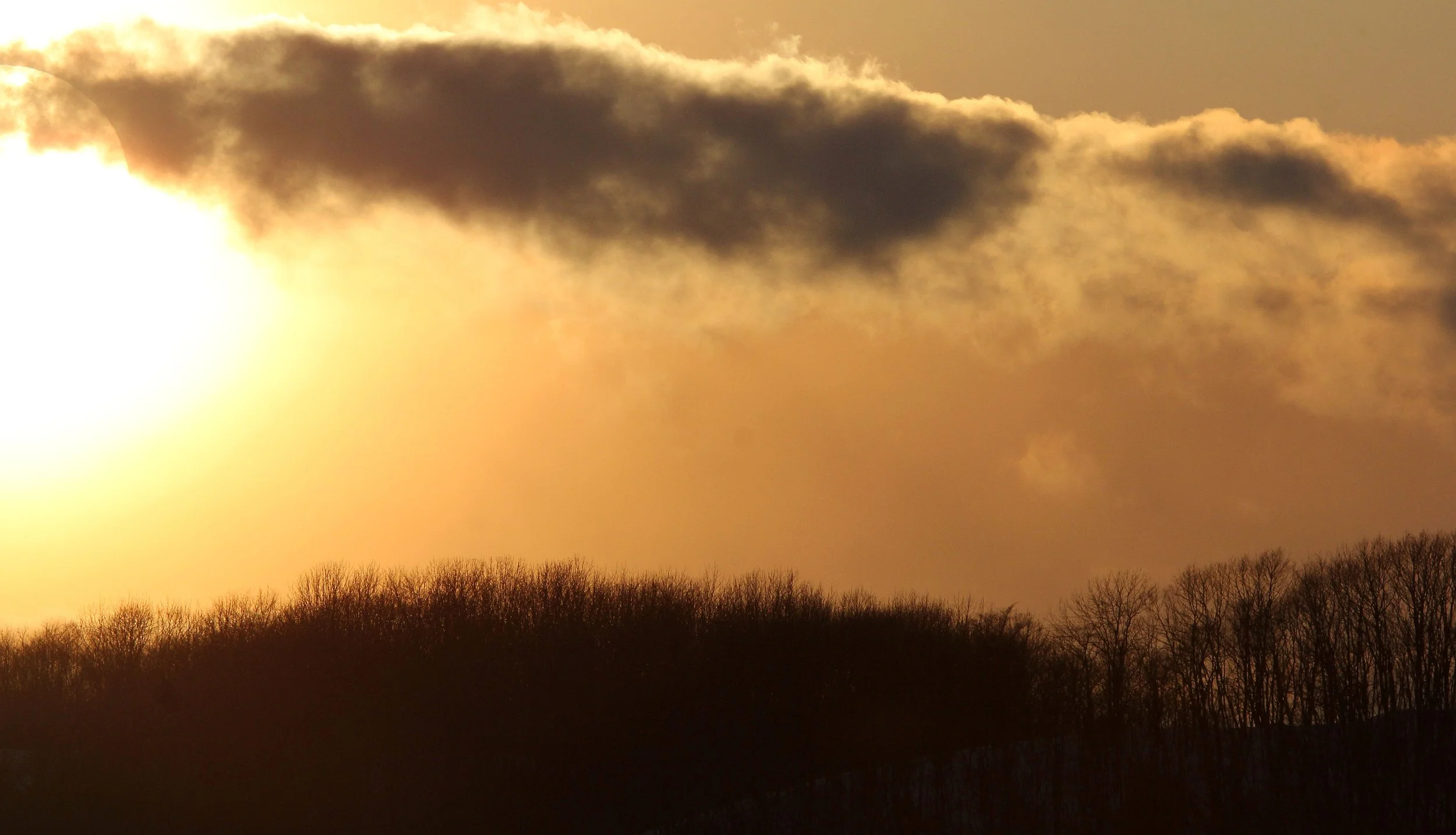 TSURUI CRANE CENTER - HOKKAIDO JAPAN.JPG