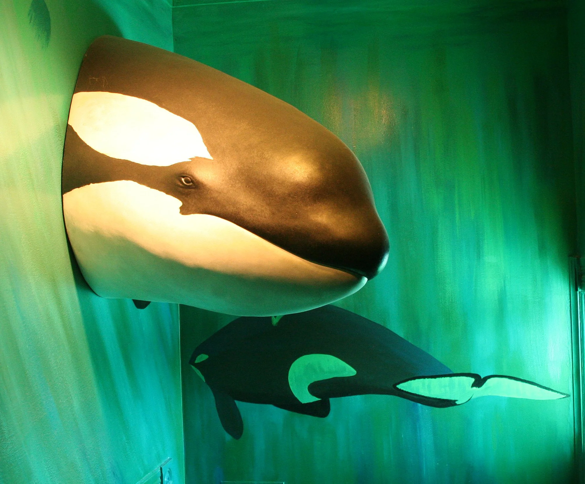 2008-5-26 SAN JUANS WHALE MUSUEM.jpg