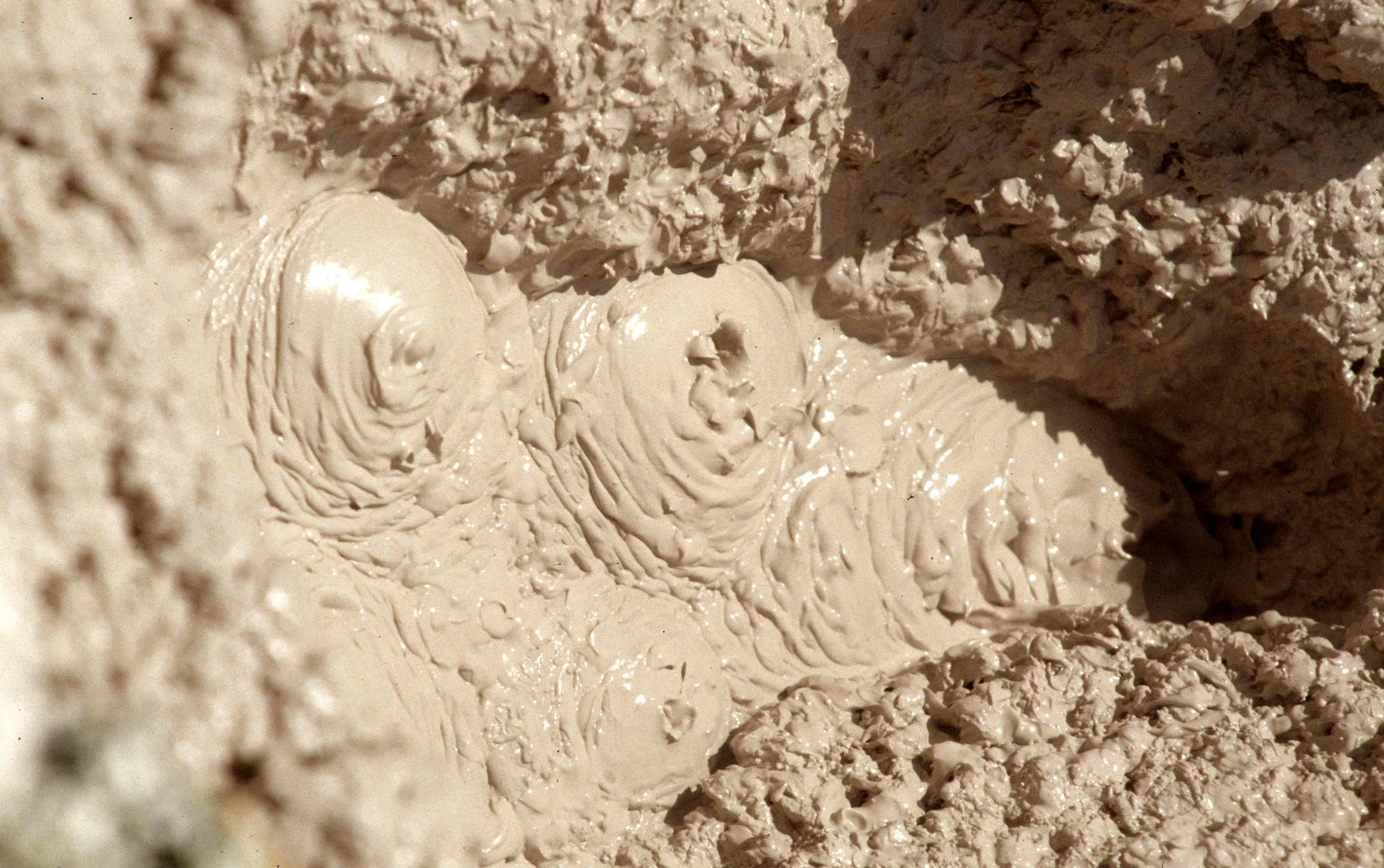 YELLOWSTONE - MUDPOT A.jpg