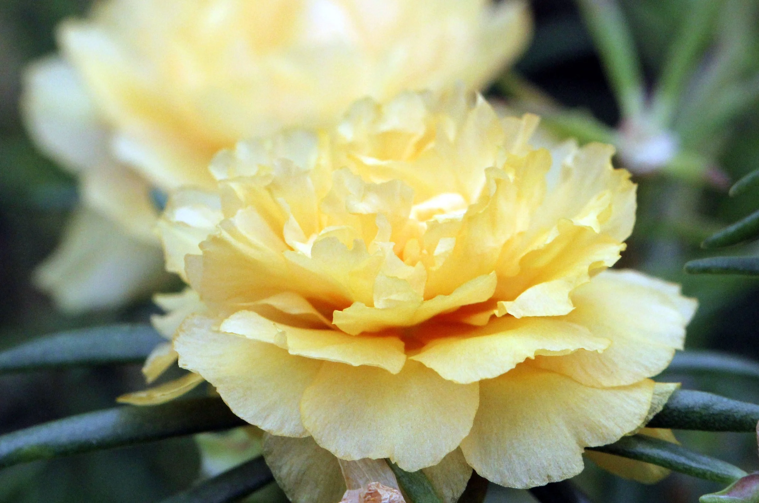 2013 Cha'am and Petchaburi with Family & Friends (38).JPG