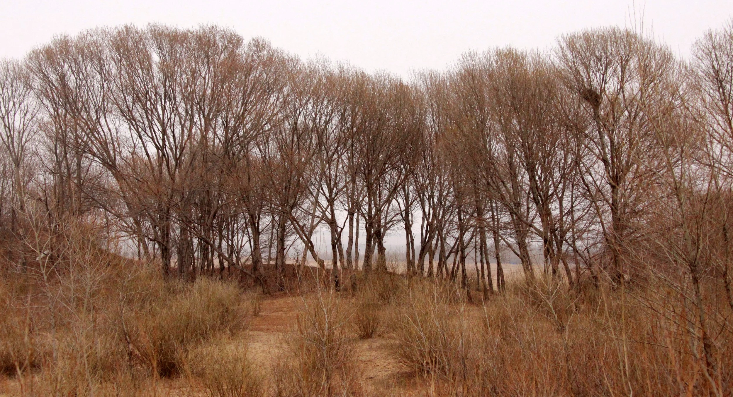 KULUN QI AND SURROUNDING VILLAGES - INNER MONGOLIA CHINA (6).JPG