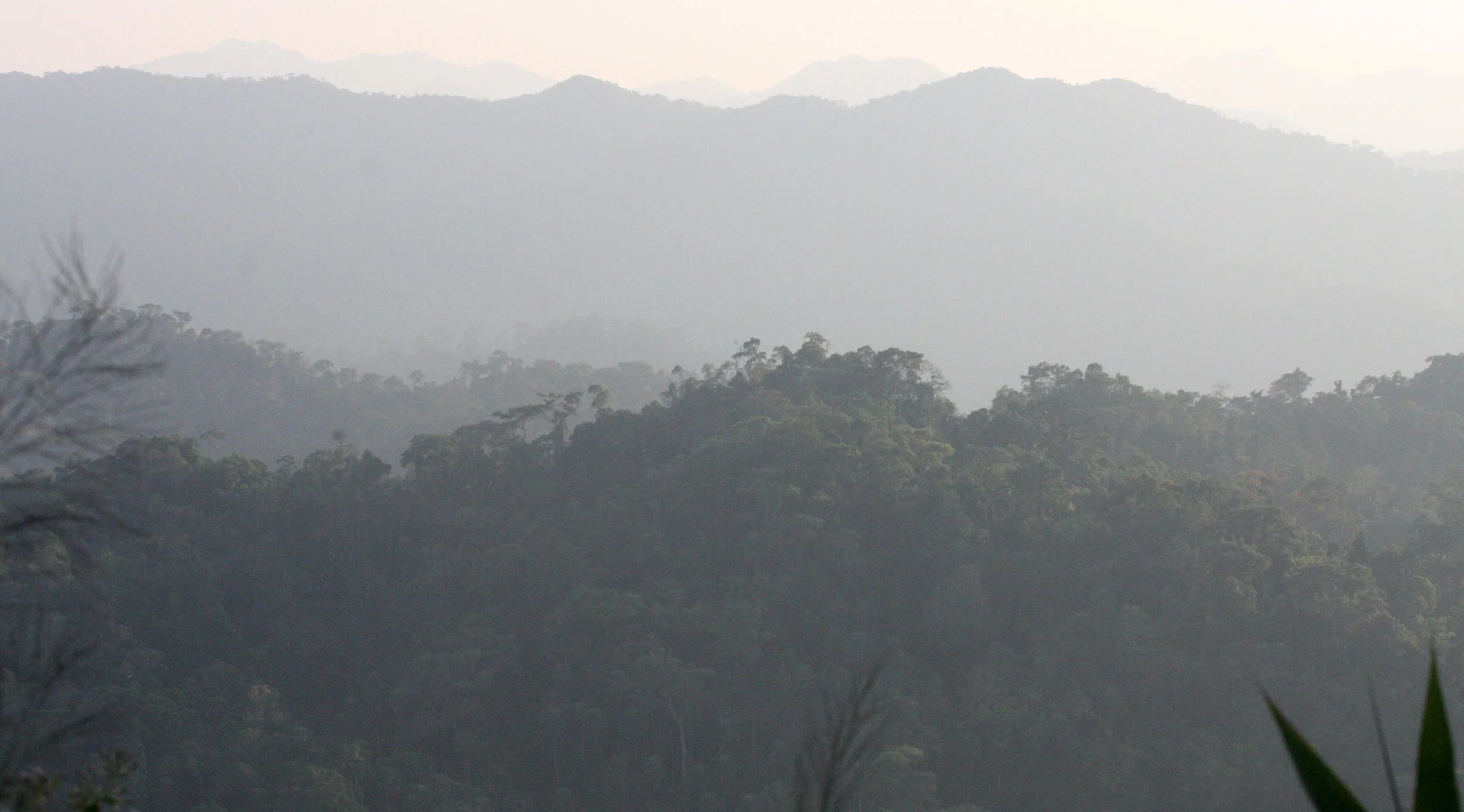KAENG KRACHAN NATIONAL PARK THAILAND - FOREST SCENES (15).JPG