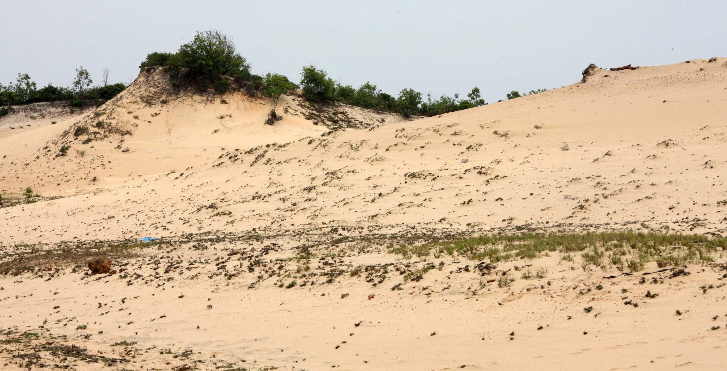 BEACH NEAR BACH MA NATIONAL PARK VIET NAM (1).JPG