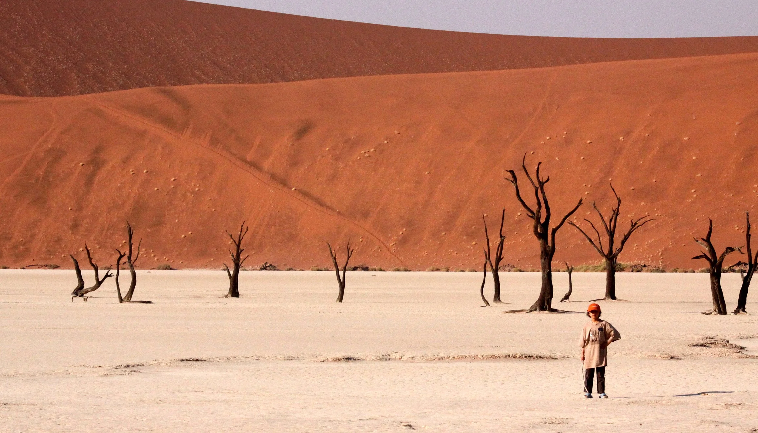 SOSSUSVLEI, NAMIB NAUKLUFT NATIONAL PARK, NAMIBIA - DEAD VLEI (28).JPG