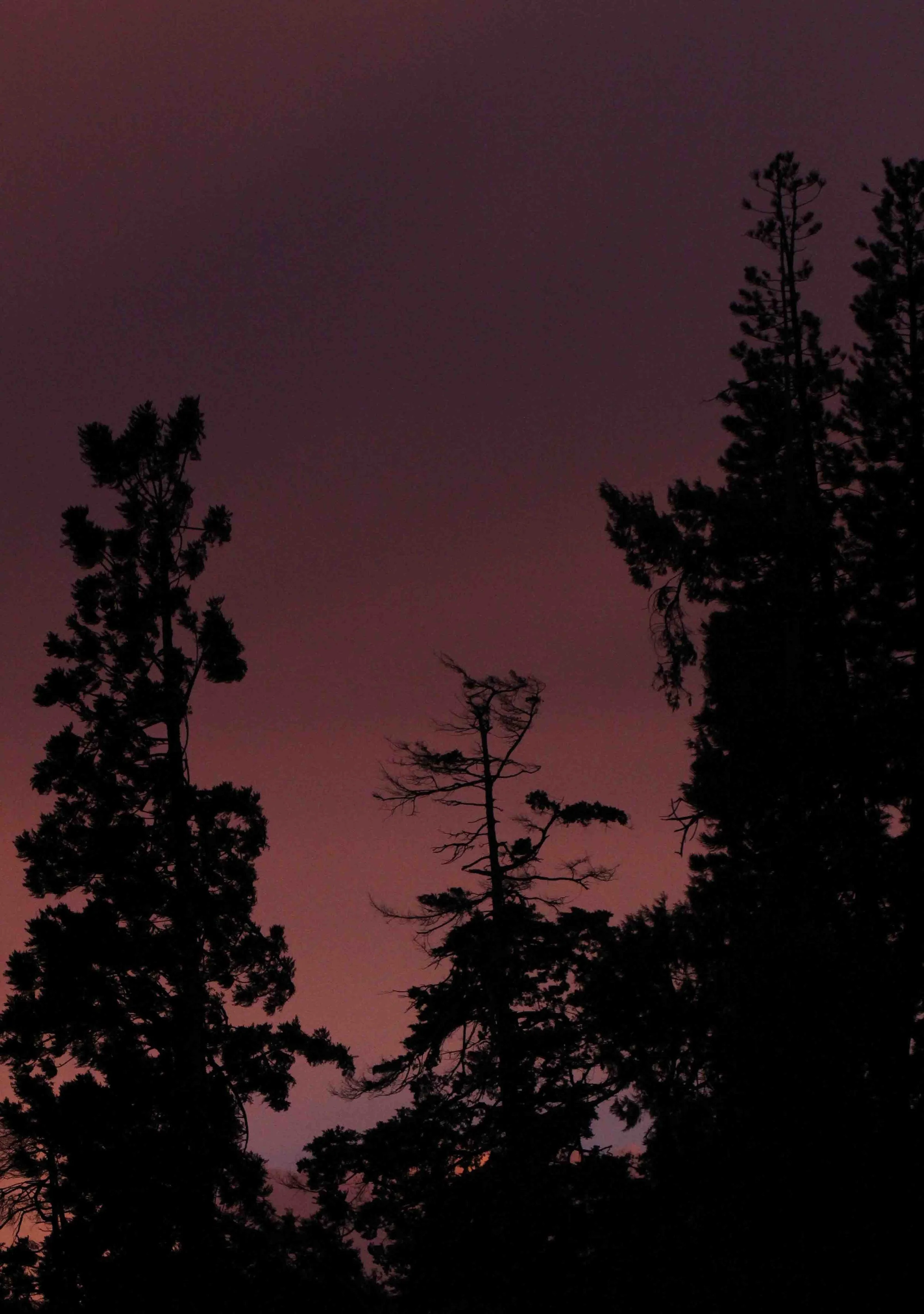 NUWARA ELIYA SRI LANKA (33).JPG