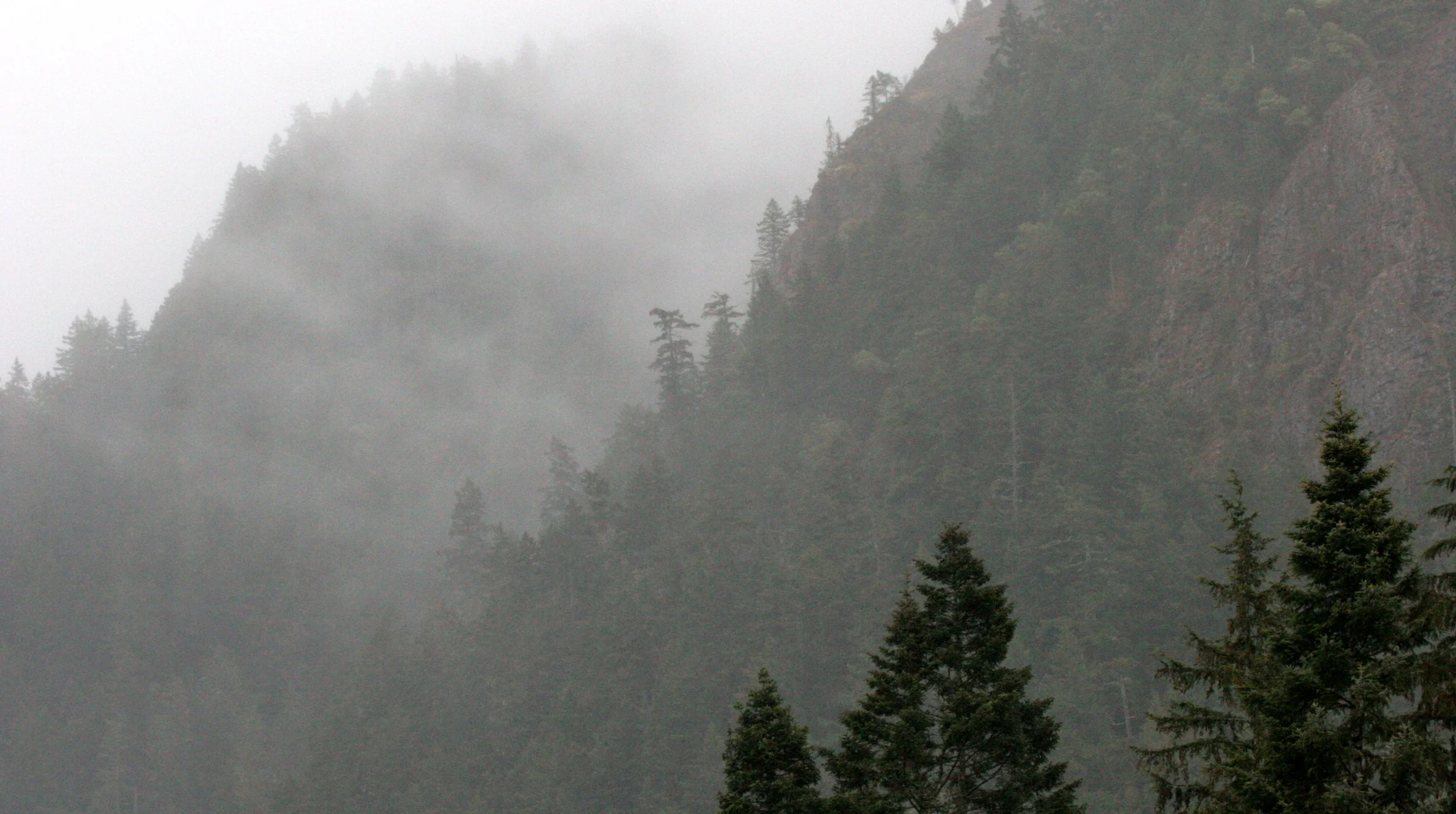 CRESCENT LAKE FOG ON MOUNTAINS (5).JPG