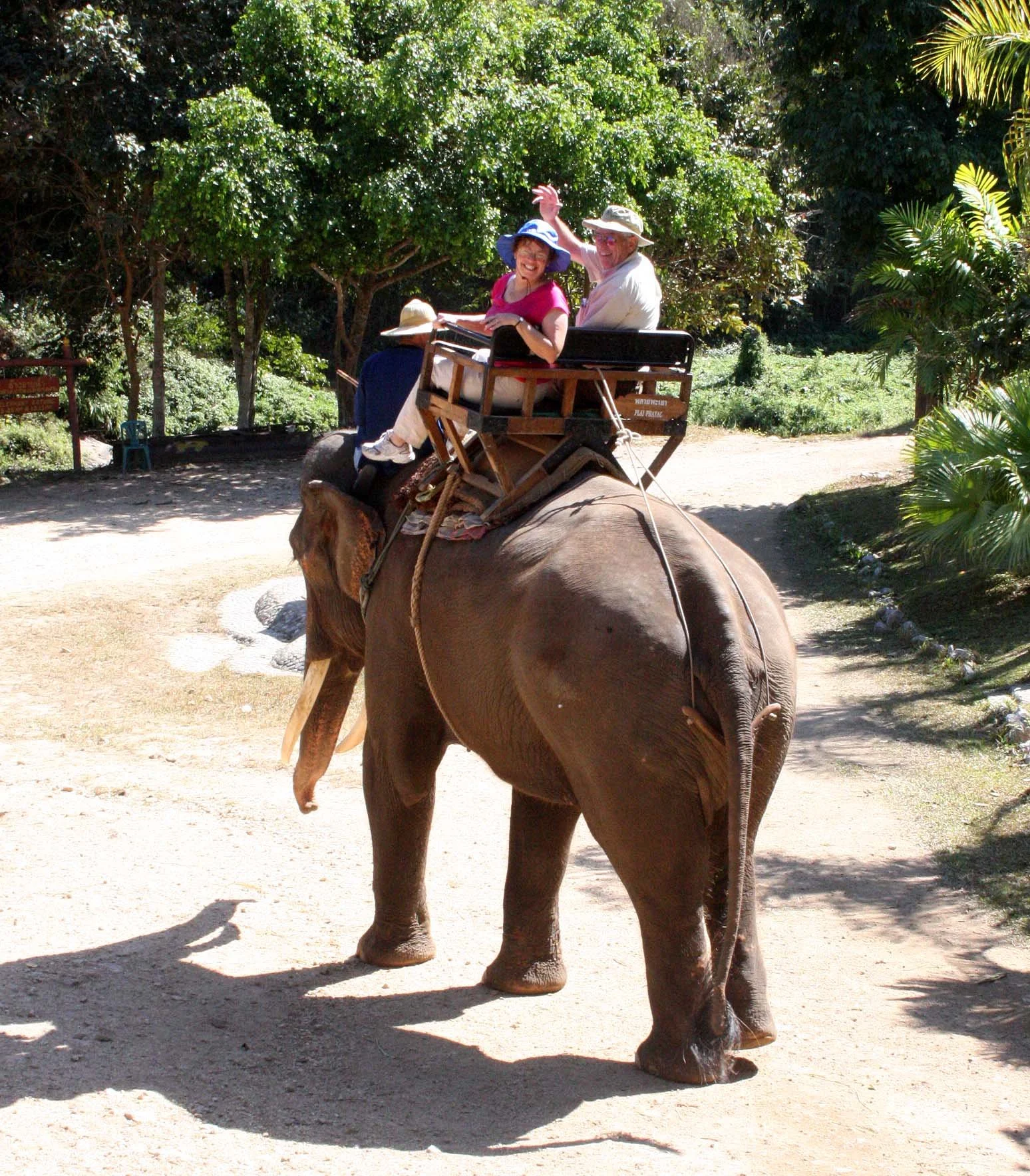 2008 Lampang City & Elephant Center (14).JPG