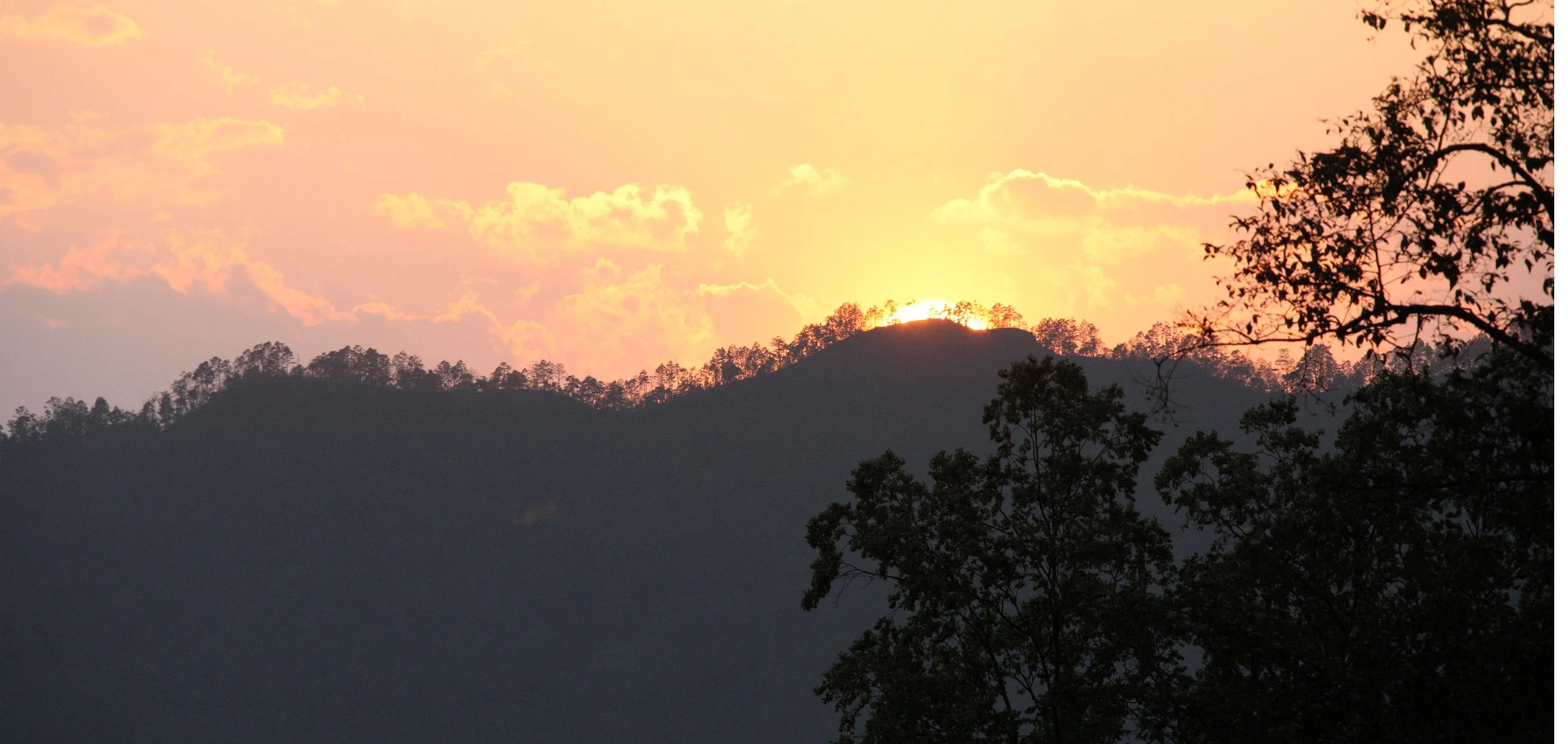YUNNAN - WULIANGSHAN NATURE RESERVE AND SURROUNDING REGION (61).JPG