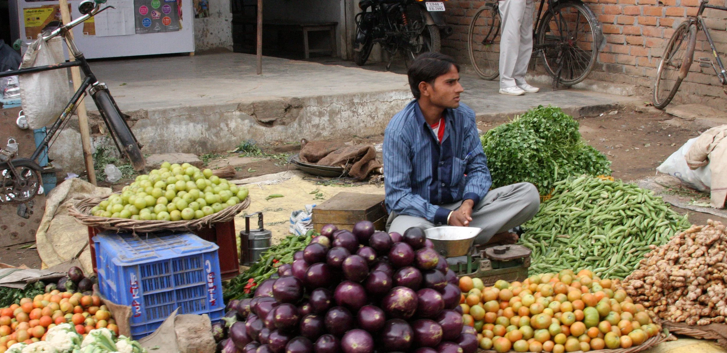 CHAMBAL RIVER SANCTUARY INDIA (23).JPG