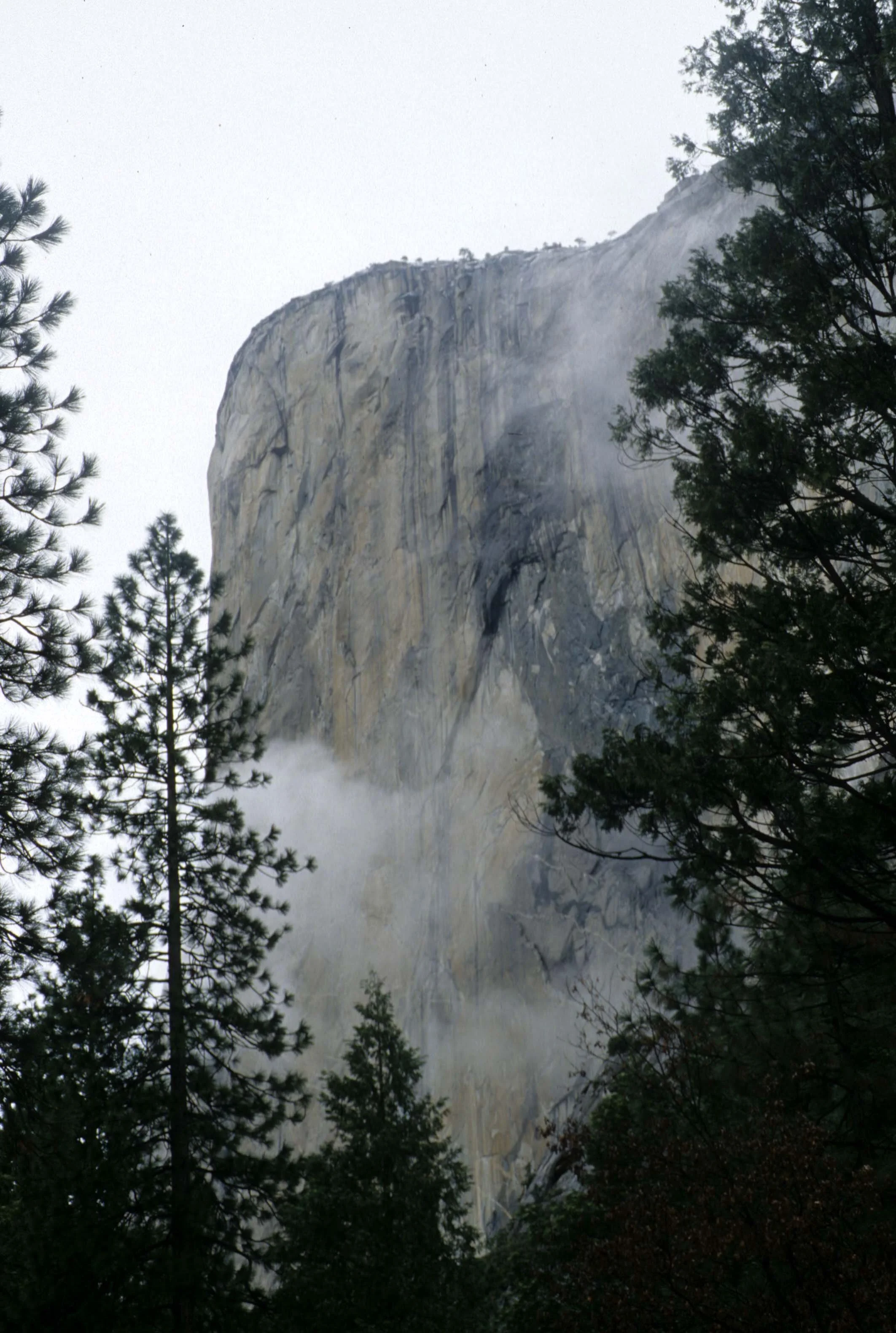 CALIFORNIA - YOSEMITE NP  (24).jpg