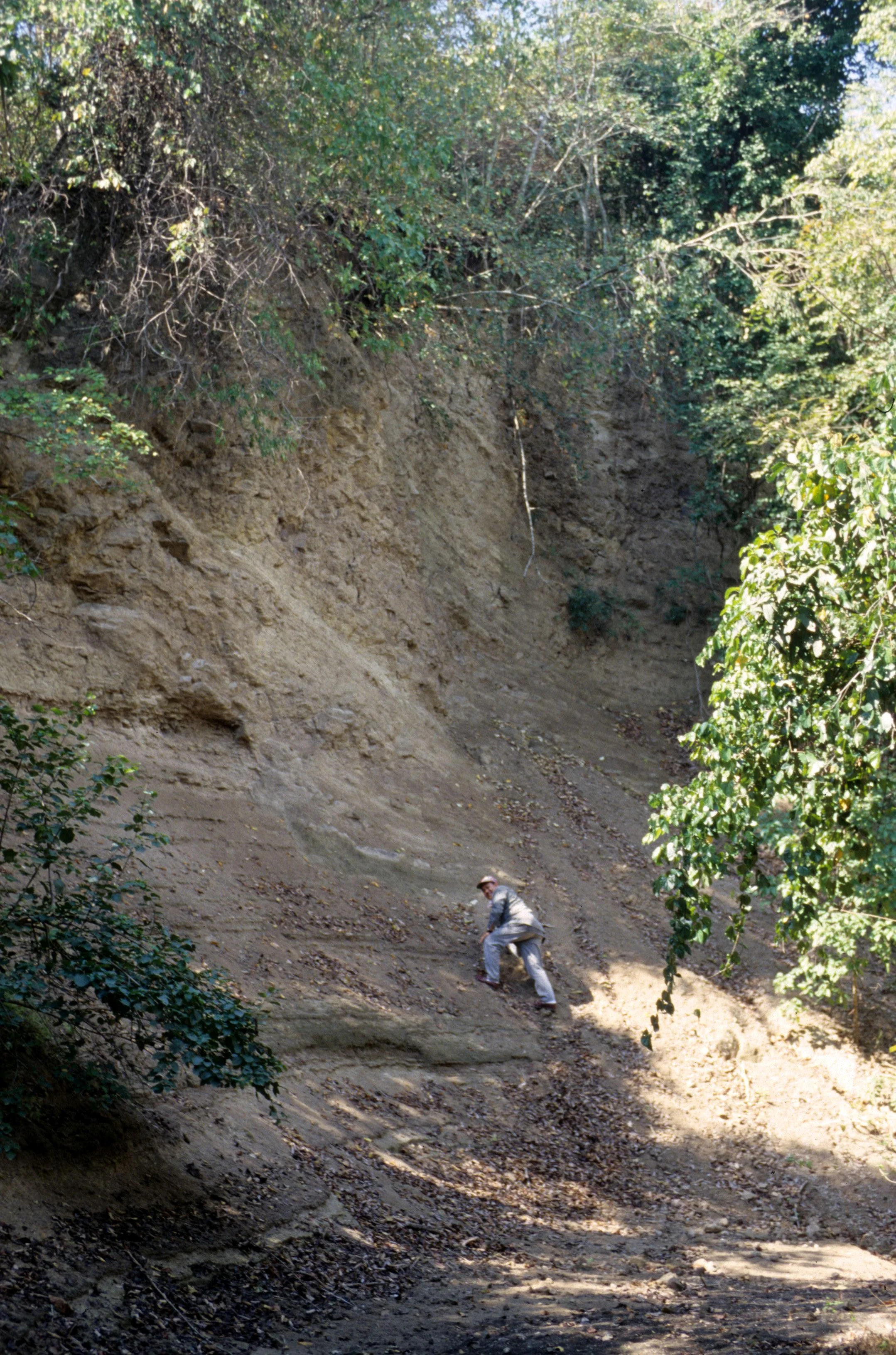 BALI - BALI BARAT NP - TREKKING IN BACK COUNTRY.jpg