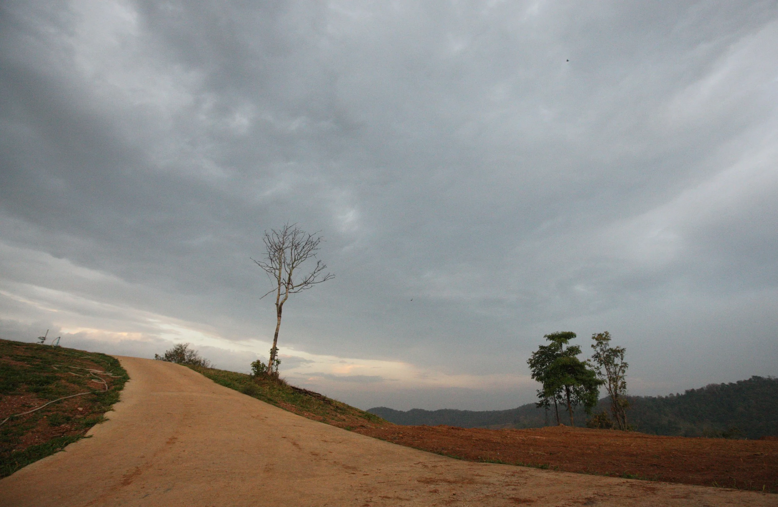 2015 Khao Pang Ma Nonhunting Area (14).JPG