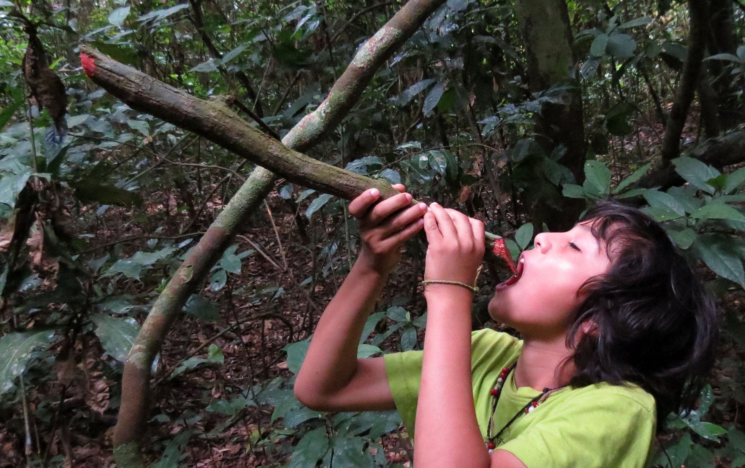 SANGHA RESERVE - BA'AKA HUNT - CENTRAL AFRICAN REPUBLIC (8).JPG