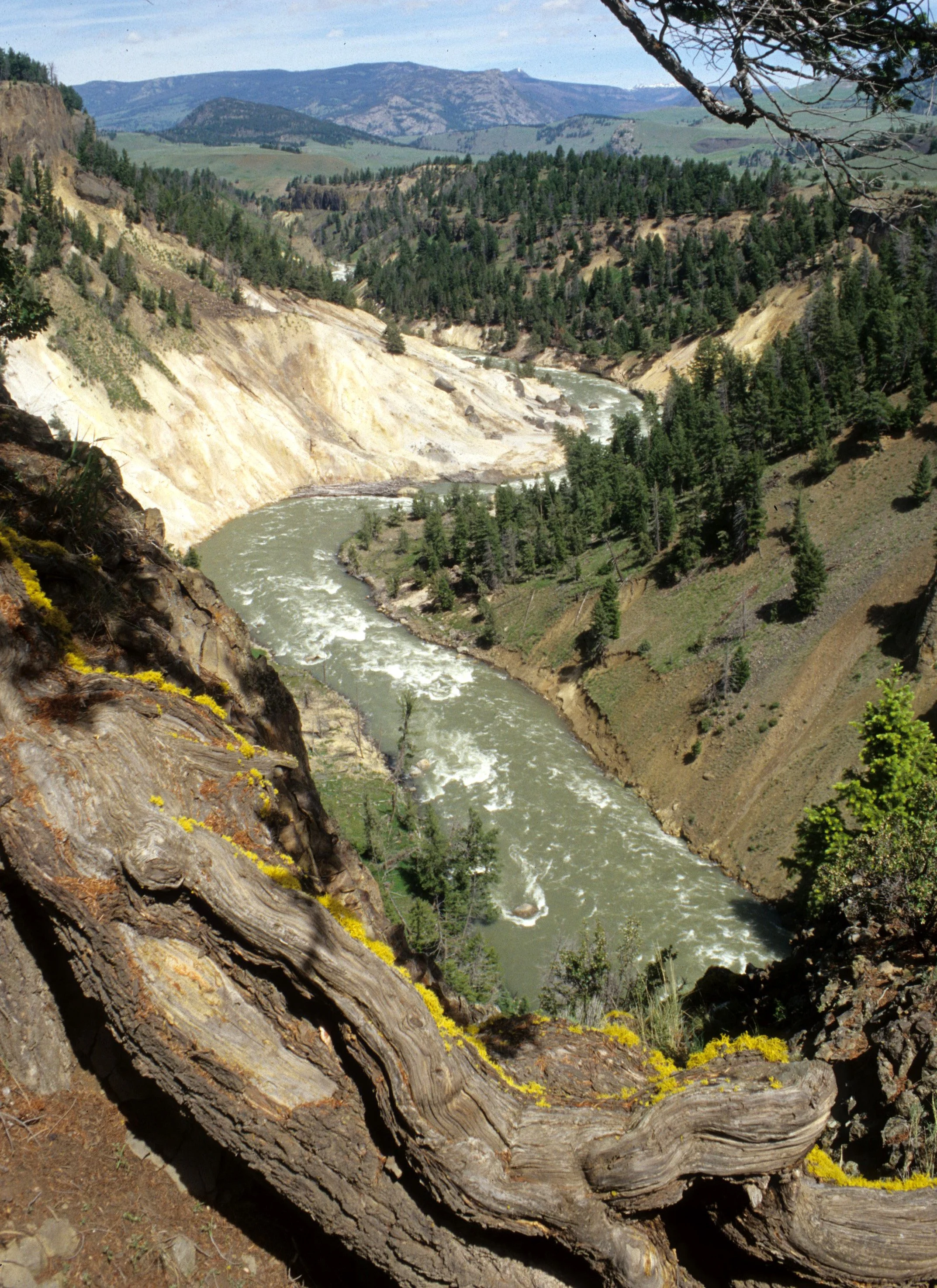 YELLOWSTONE - YELLOWSTONE RIVER.jpg