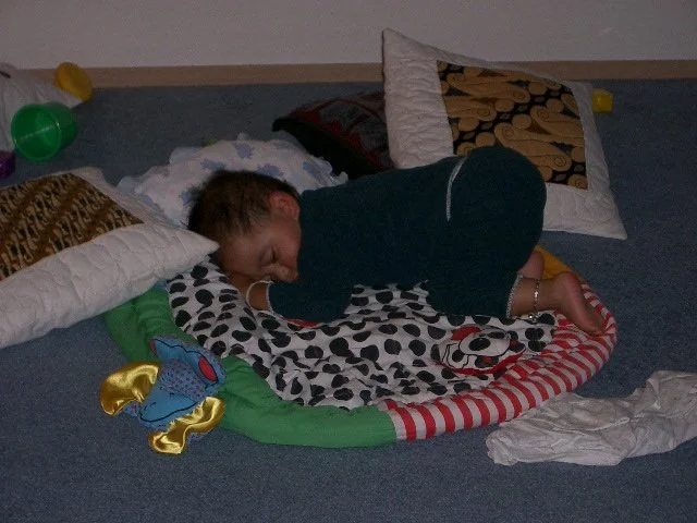 2003-8-30 COKIE SLEEPING (2).JPG