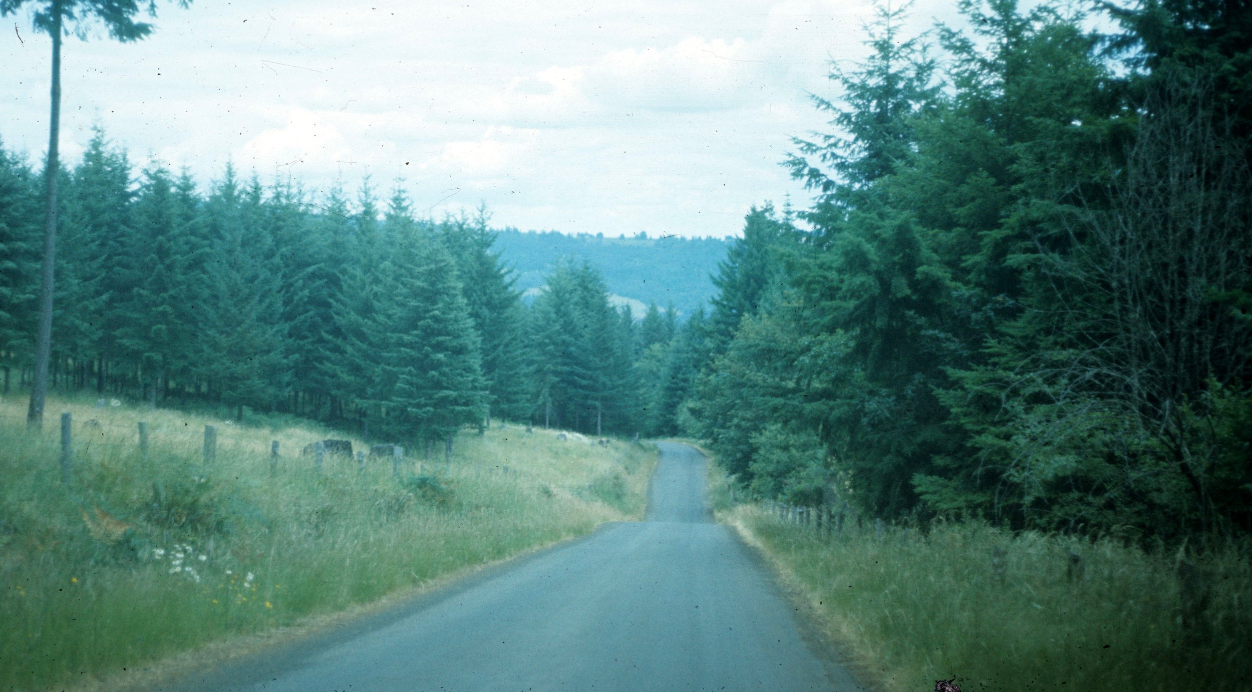 1977 - SUMMER TRIP - OREGON - SWEETHOME COUNTRYSIDE.jpg