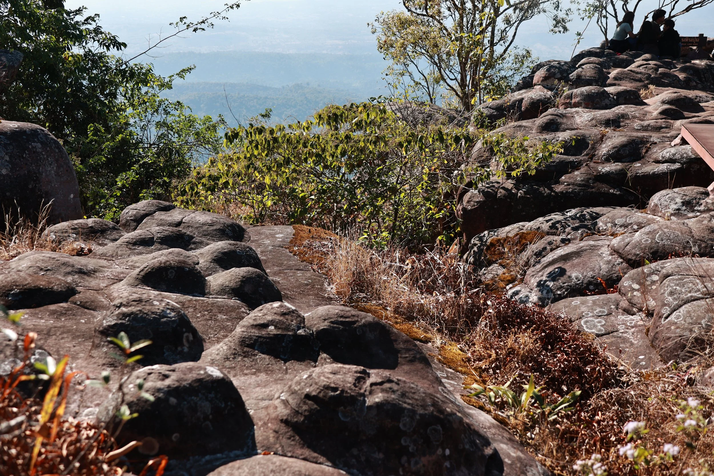 Phu Hin Rong Kla National Park Loei Province (52).jpg