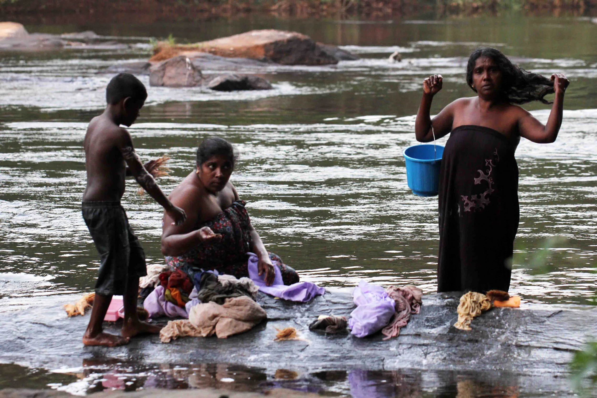 KITULGALA FOREST PRESERVE, SRI LANKA (14).JPG