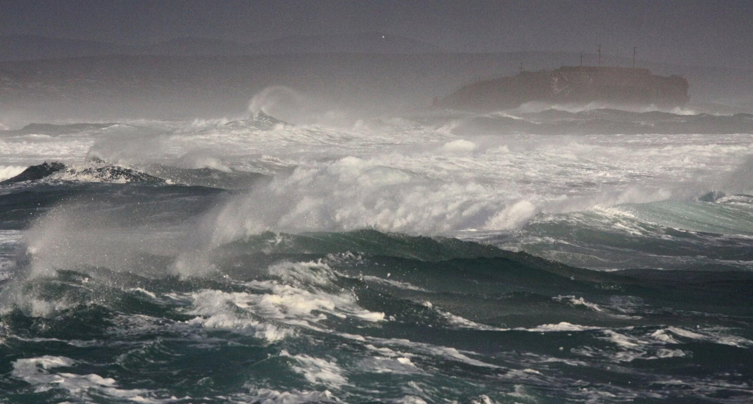 WEST COAST NATIONAL PARK SOUTH AFRICA - SURF'S UP!.JPG