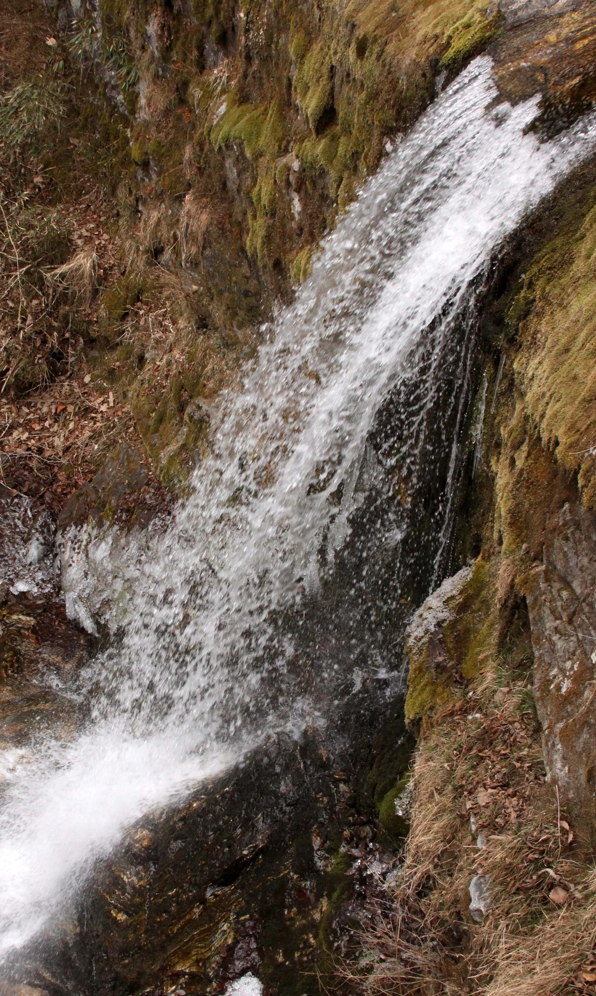 FOPING NATURE RESERVE - SHAANXI PROVINCE CHINA (165).JPG