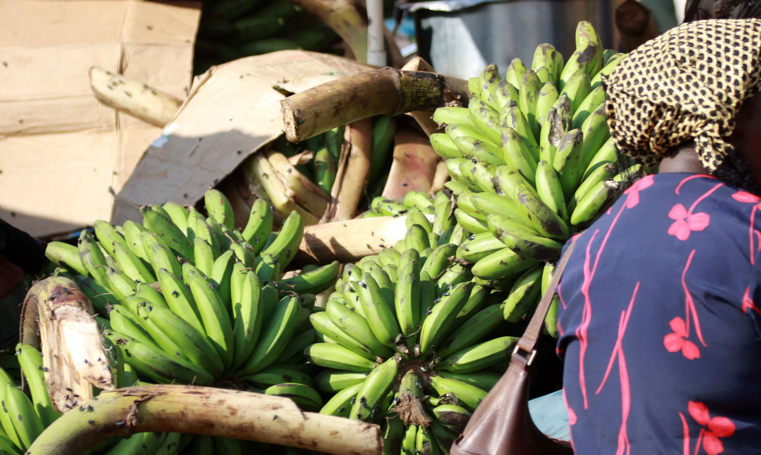 KAMPALA UGANDA (31).JPG