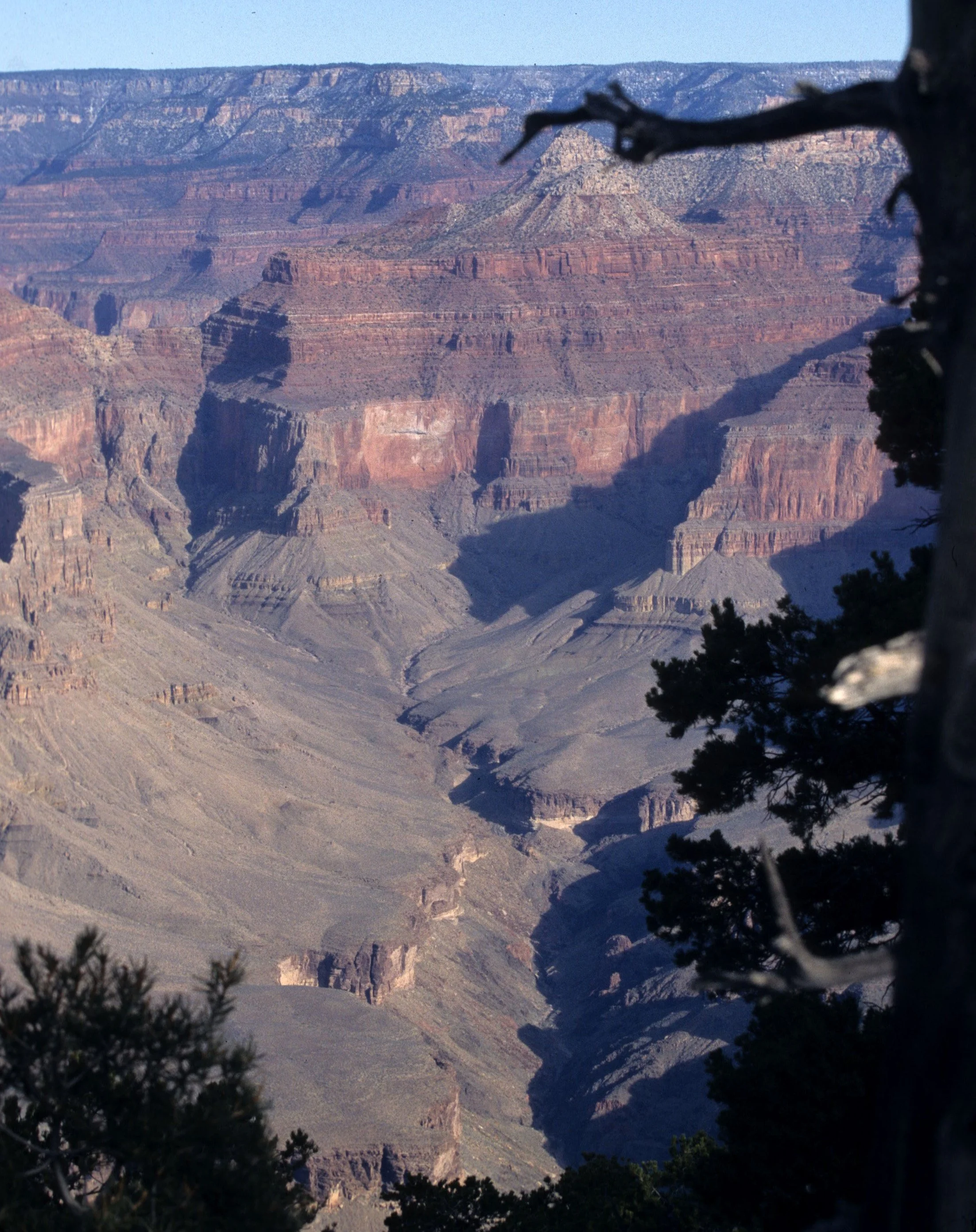 ARIZONA - GRAND CANYON NATIONAL PK (18).jpg